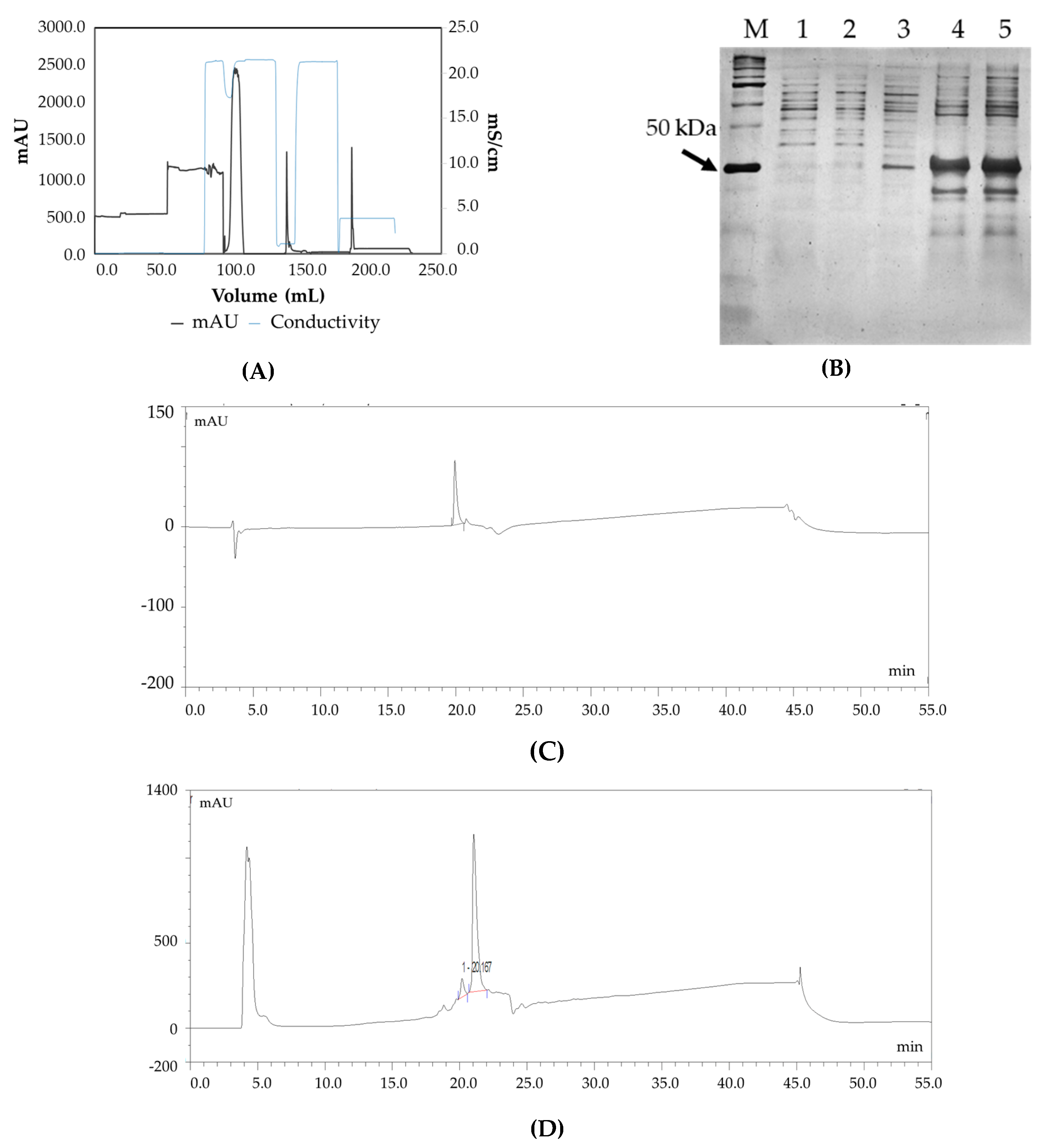 Bioengineering 06 00029 g002
