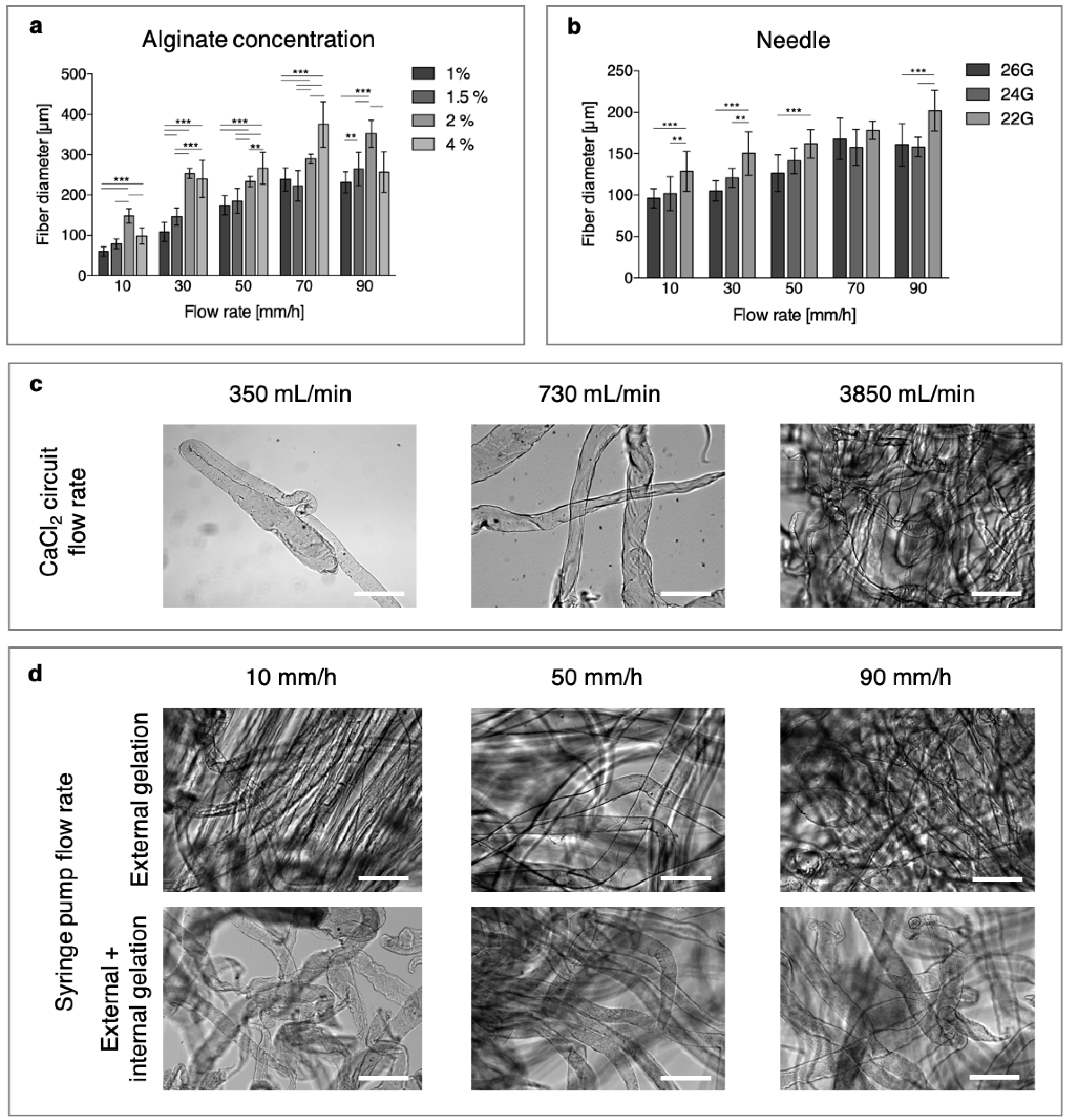 Bioengineering 06 00030 g002