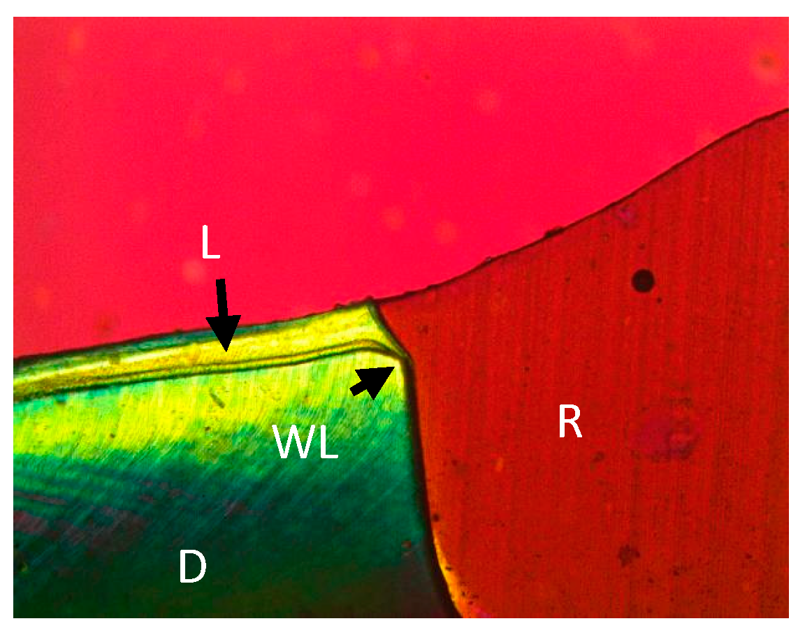 Bioengineering 06 00036 g001