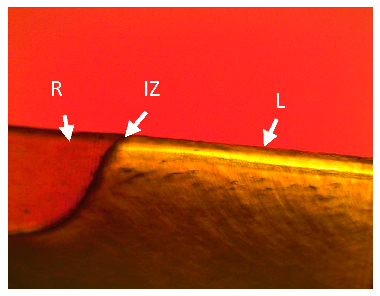 Bioengineering 06 00036 g003