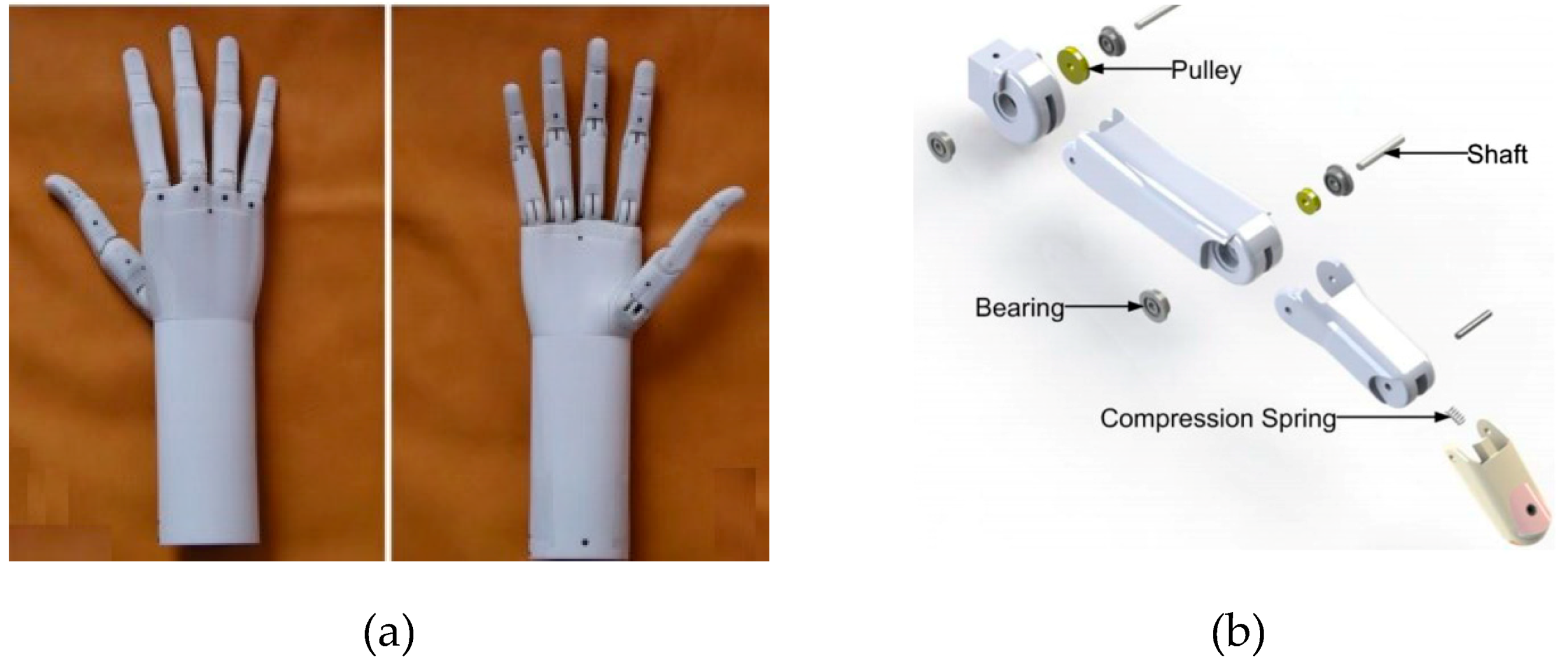 Bioengineering 06 00037 g003 Bioengineering 06 00037 g003