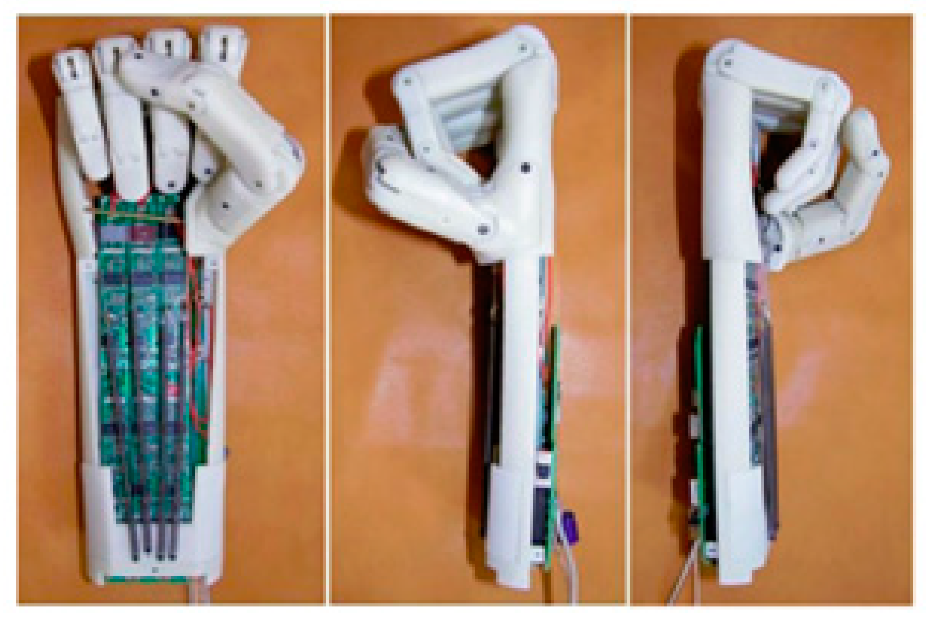 Bioengineering 06 00037 g004 Bioengineering 06 00037 g004