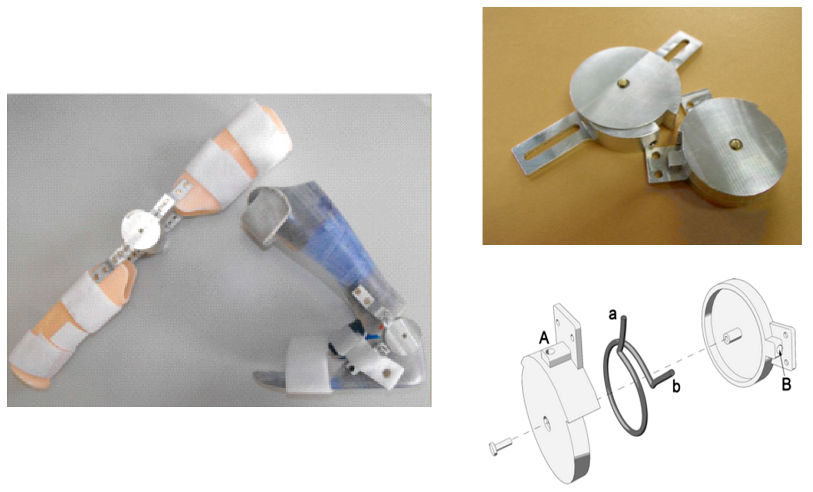 Bioengineering 06 00037 g011 Bioengineering 06 00037 g011