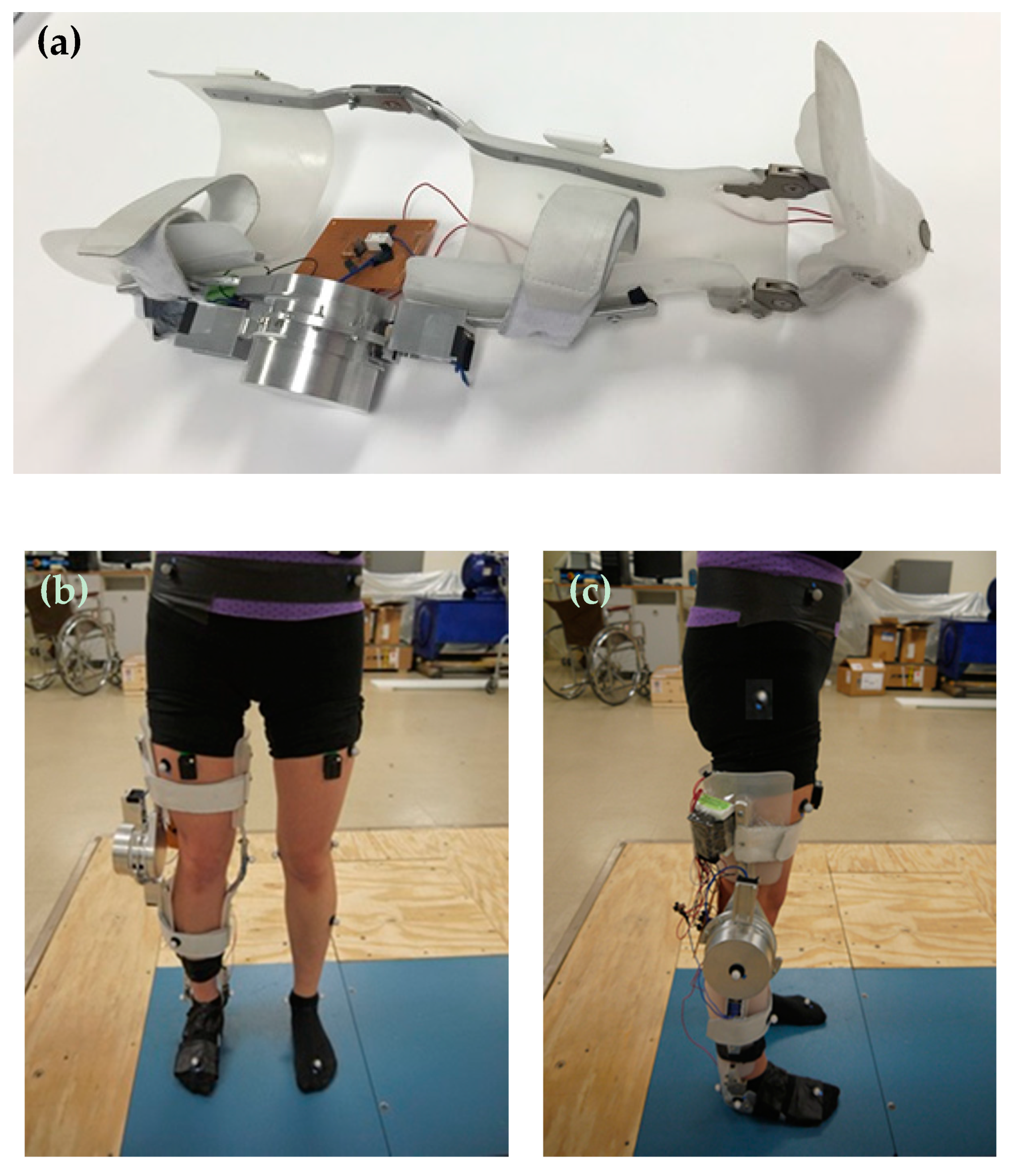 Bioengineering 06 00037 g015 Bioengineering 06 00037 g015