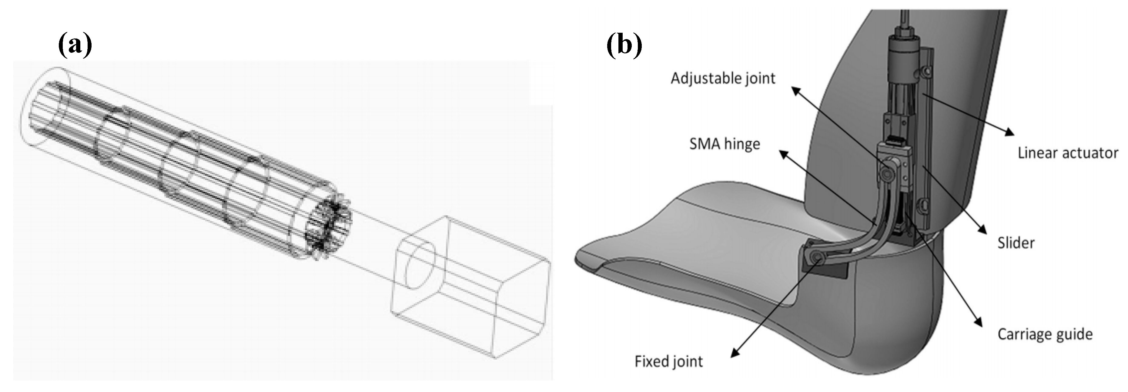 Bioengineering 06 00037 g023 Bioengineering 06 00037 g023