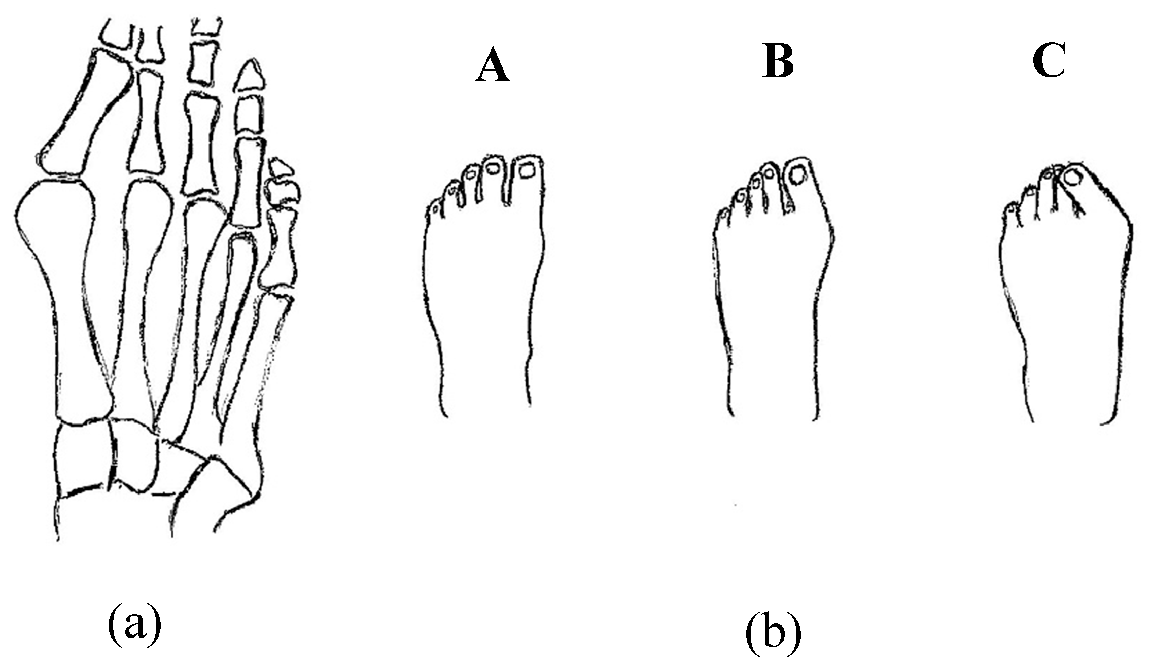 Bioengineering 06 00037 g029 Bioengineering 06 00037 g029