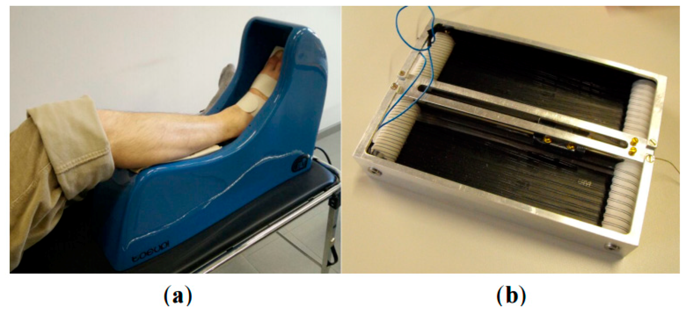 Bioengineering 06 00037 g031 Bioengineering 06 00037 g031