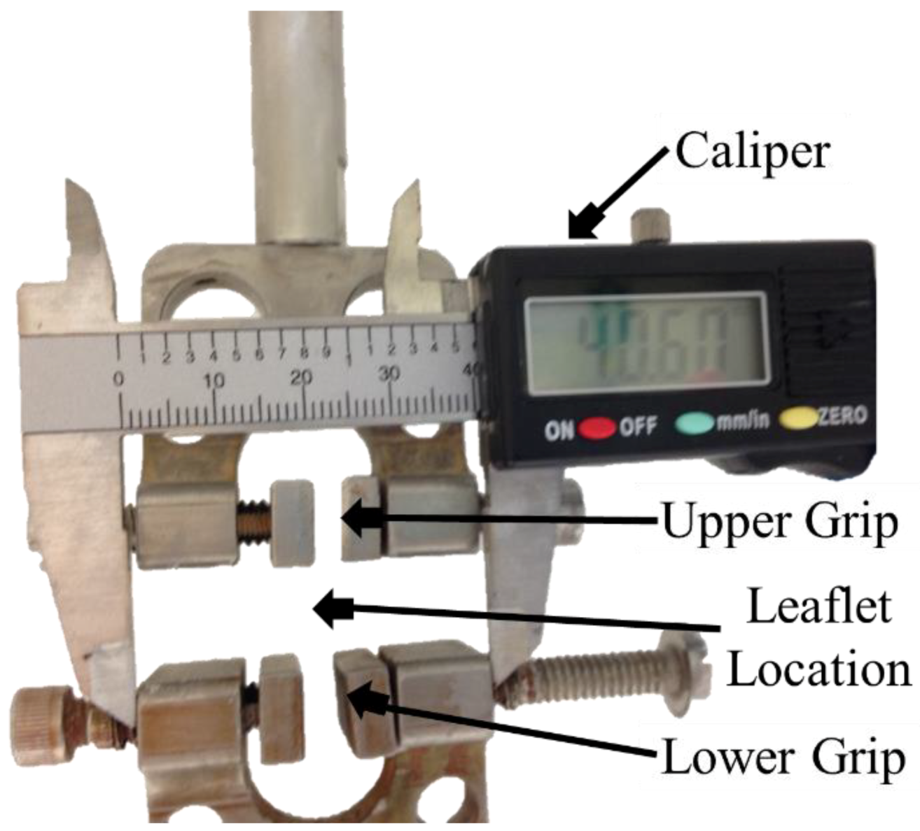 Bioengineering 06 00039 g001
