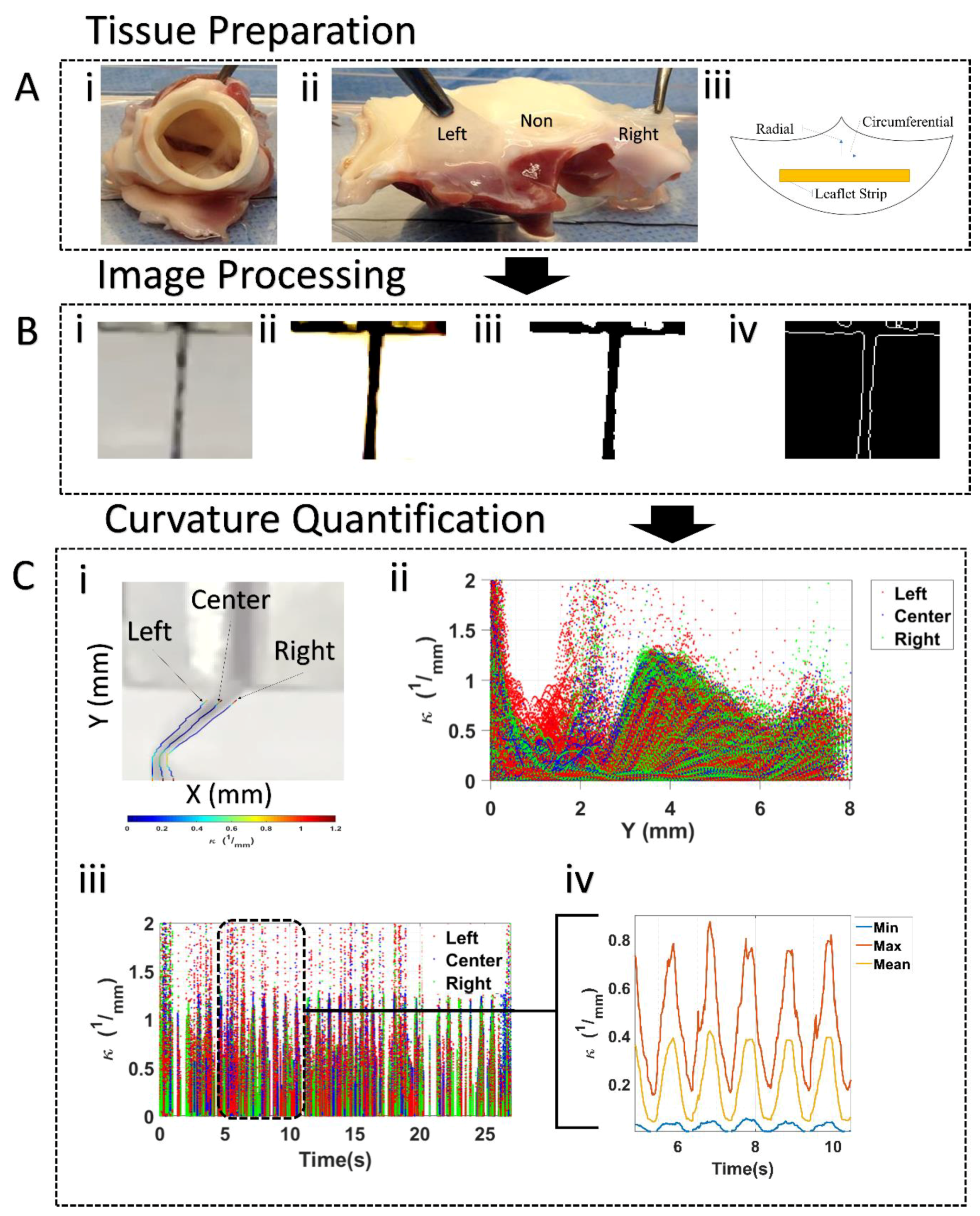 Bioengineering 06 00039 g002