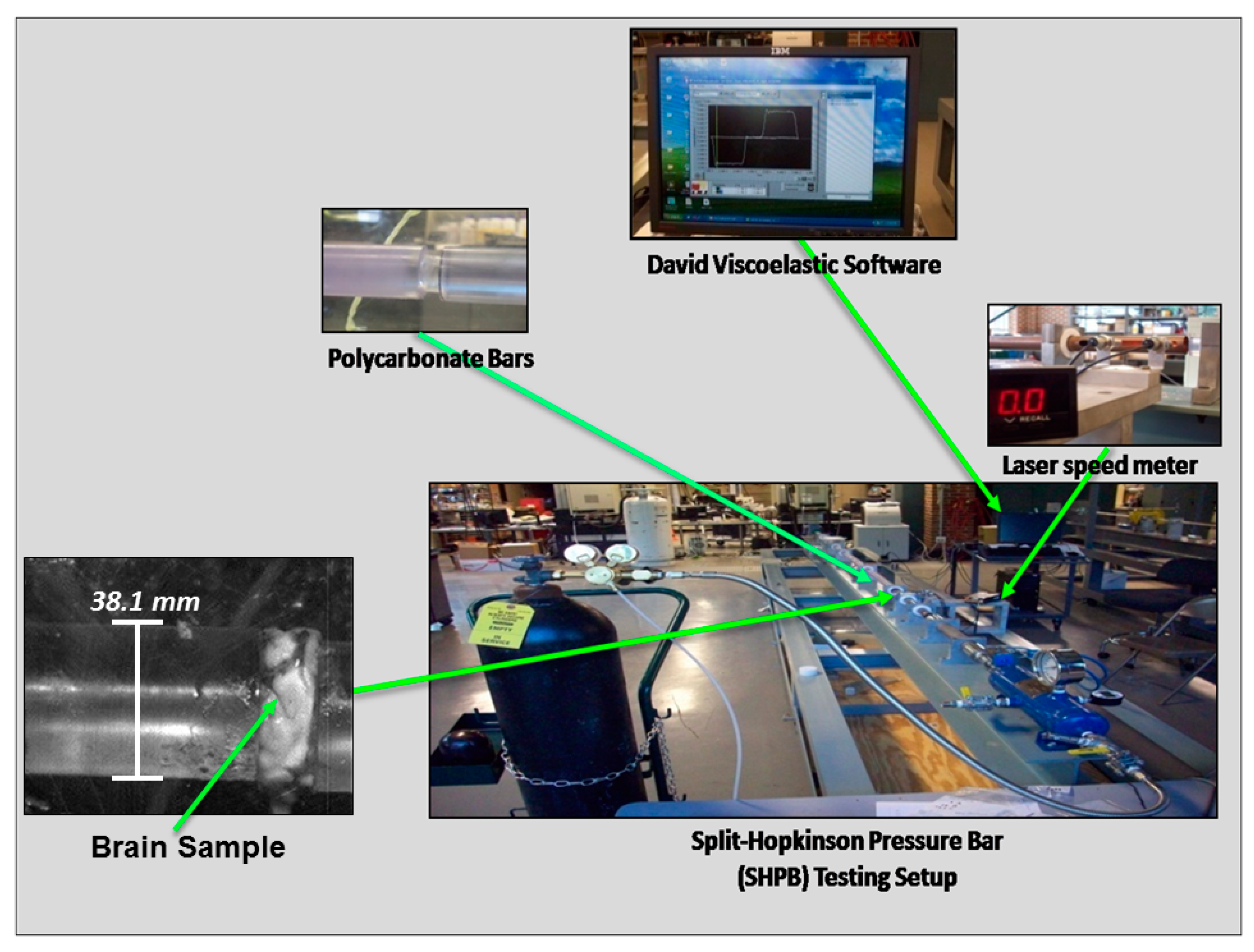 Bioengineering 06 00040 g002