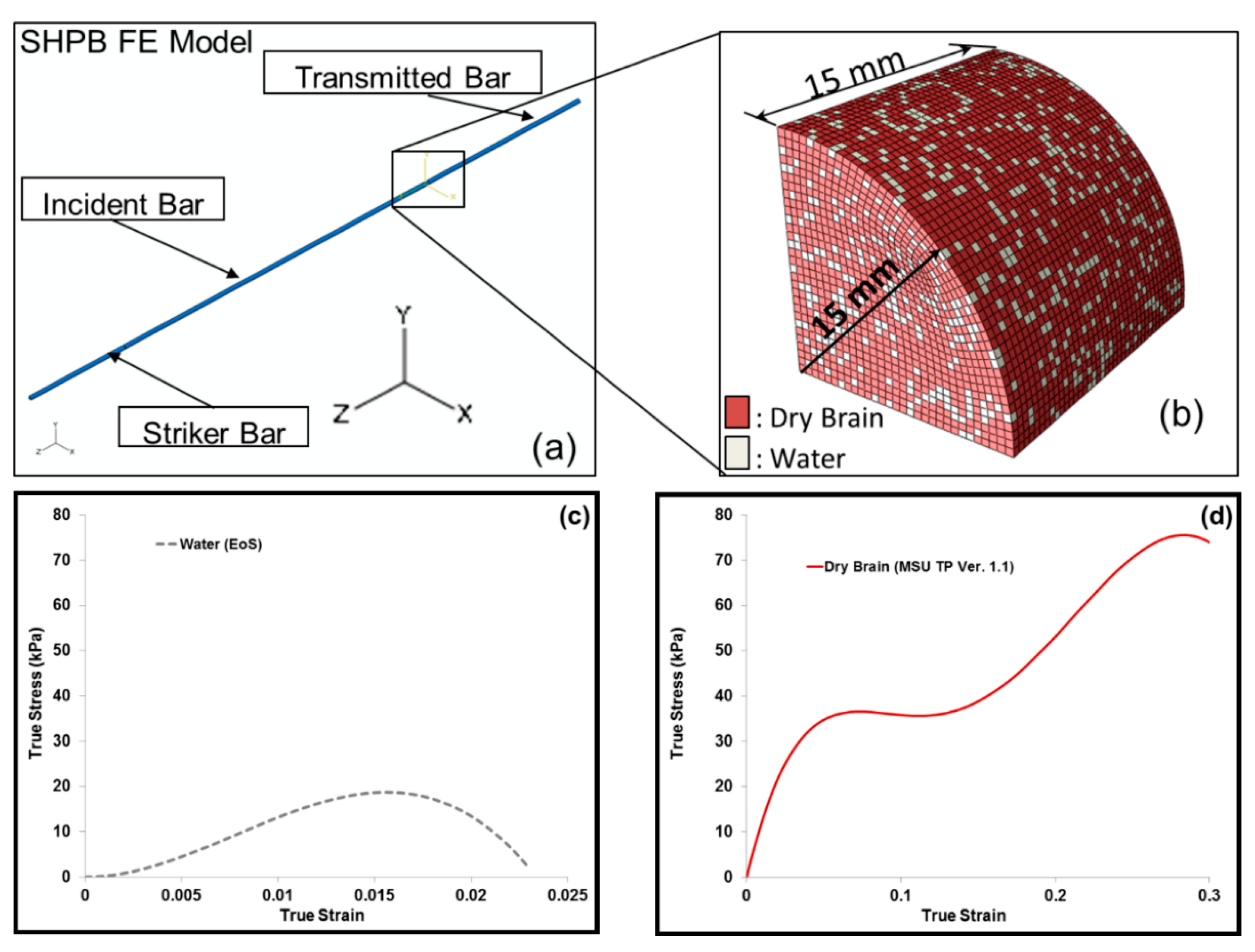 Bioengineering 06 00040 g005