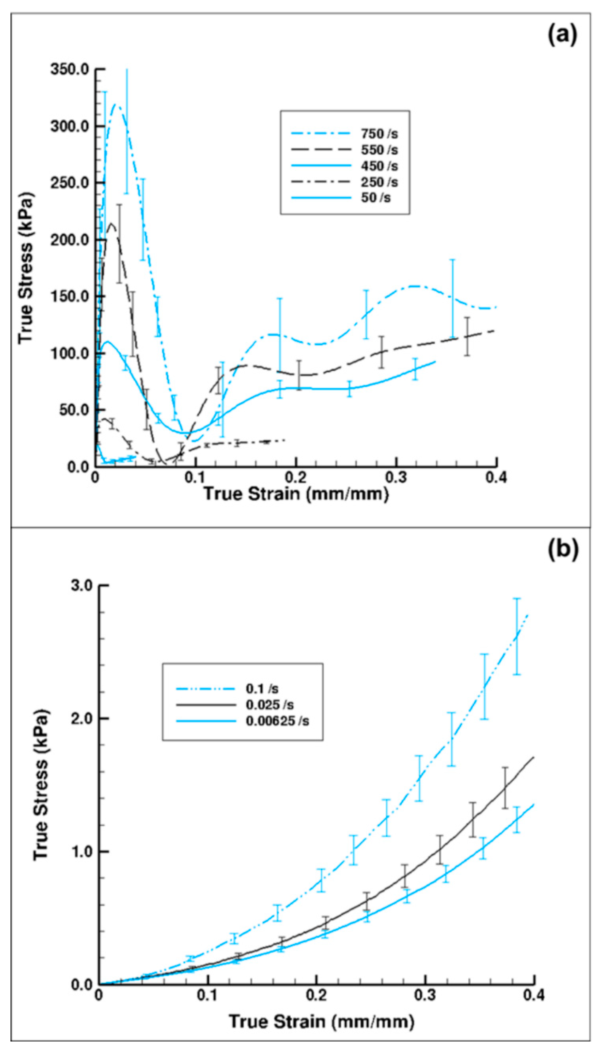 Bioengineering 06 00040 g007