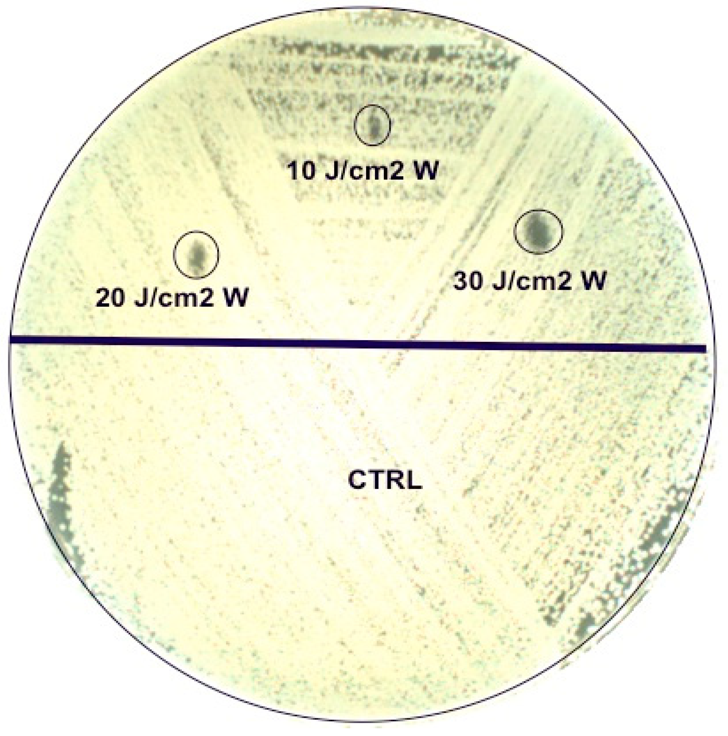 Bioengineering 06 00042 g001 550