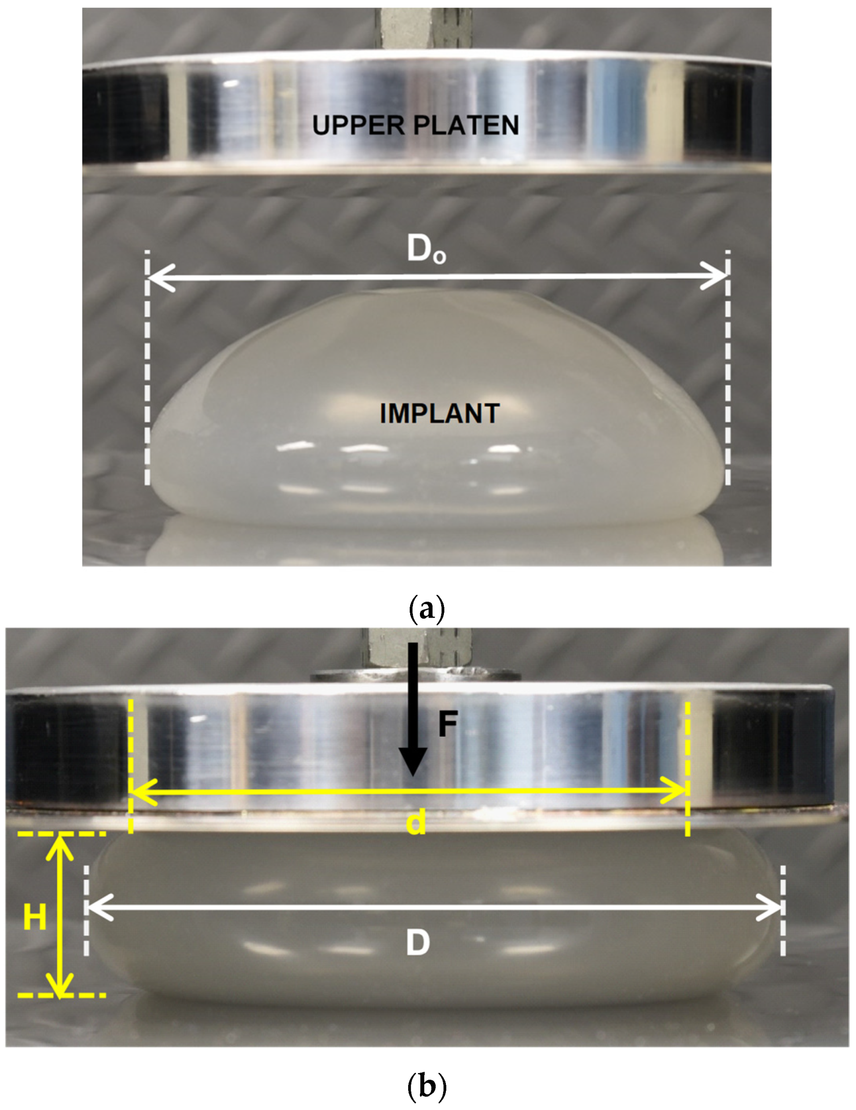 Bioengineering 06 00043 g002