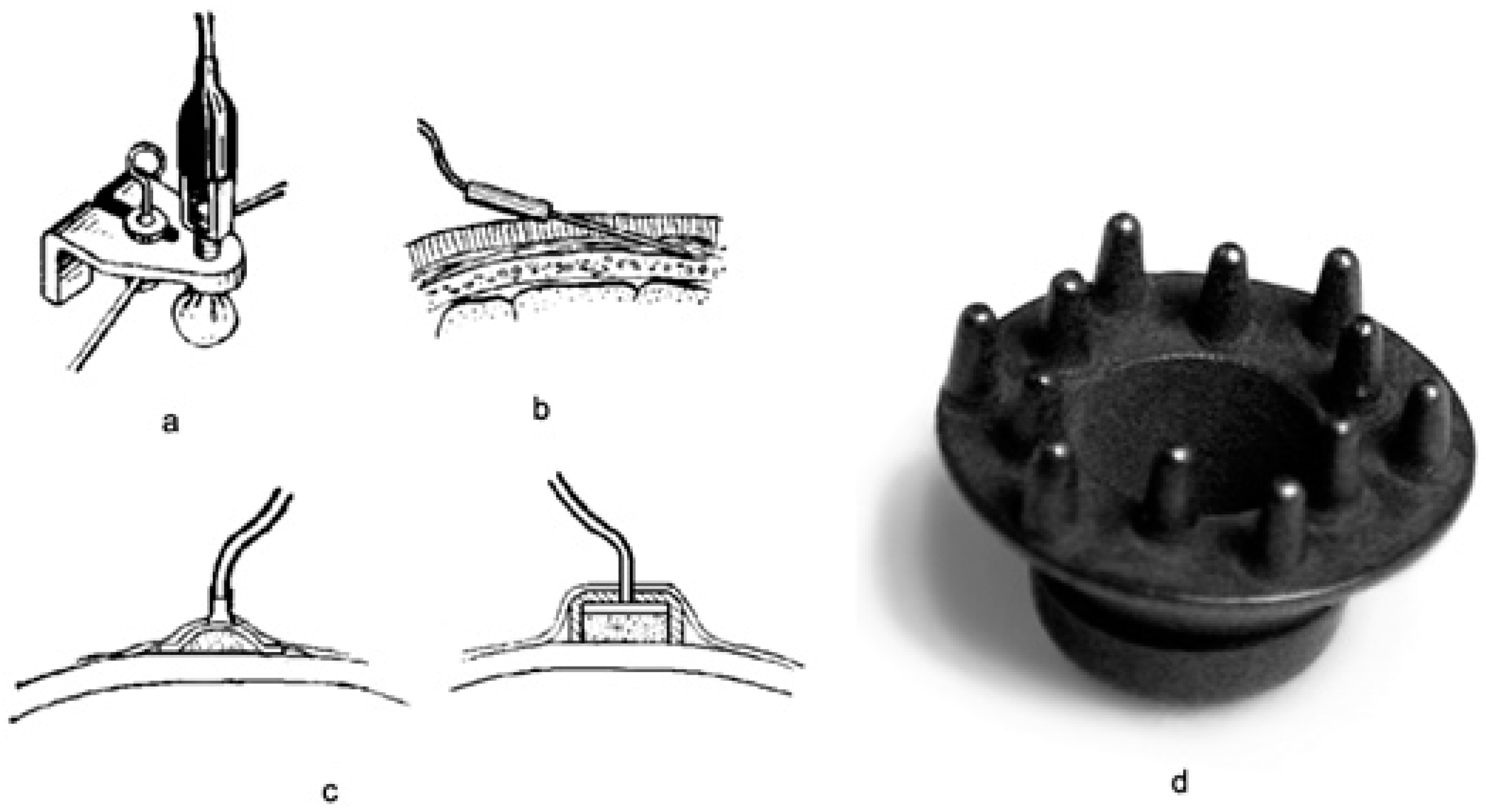 Bioengineering 06 00046 g001 550