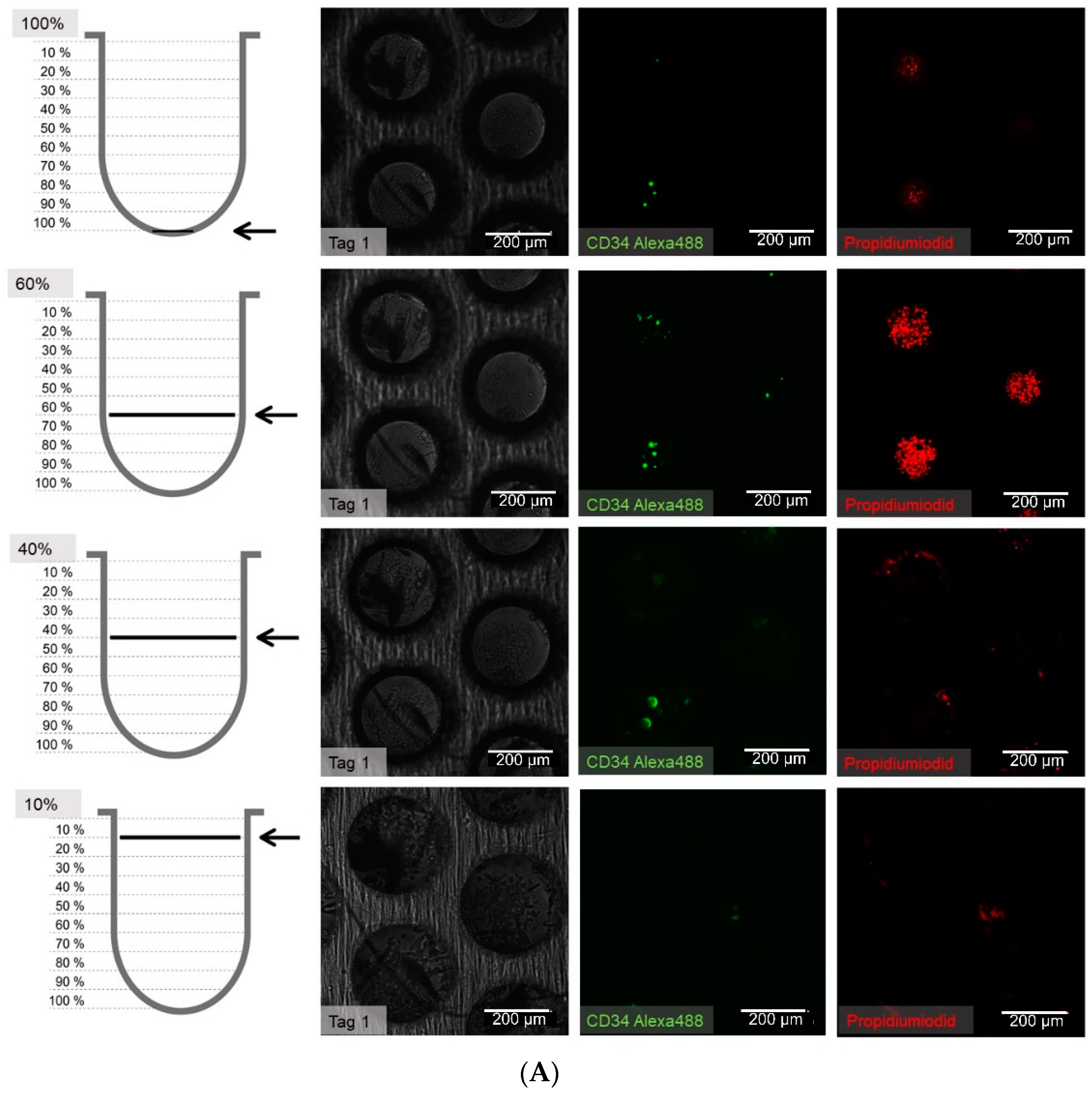 Bioengineering 06 00050 g008a