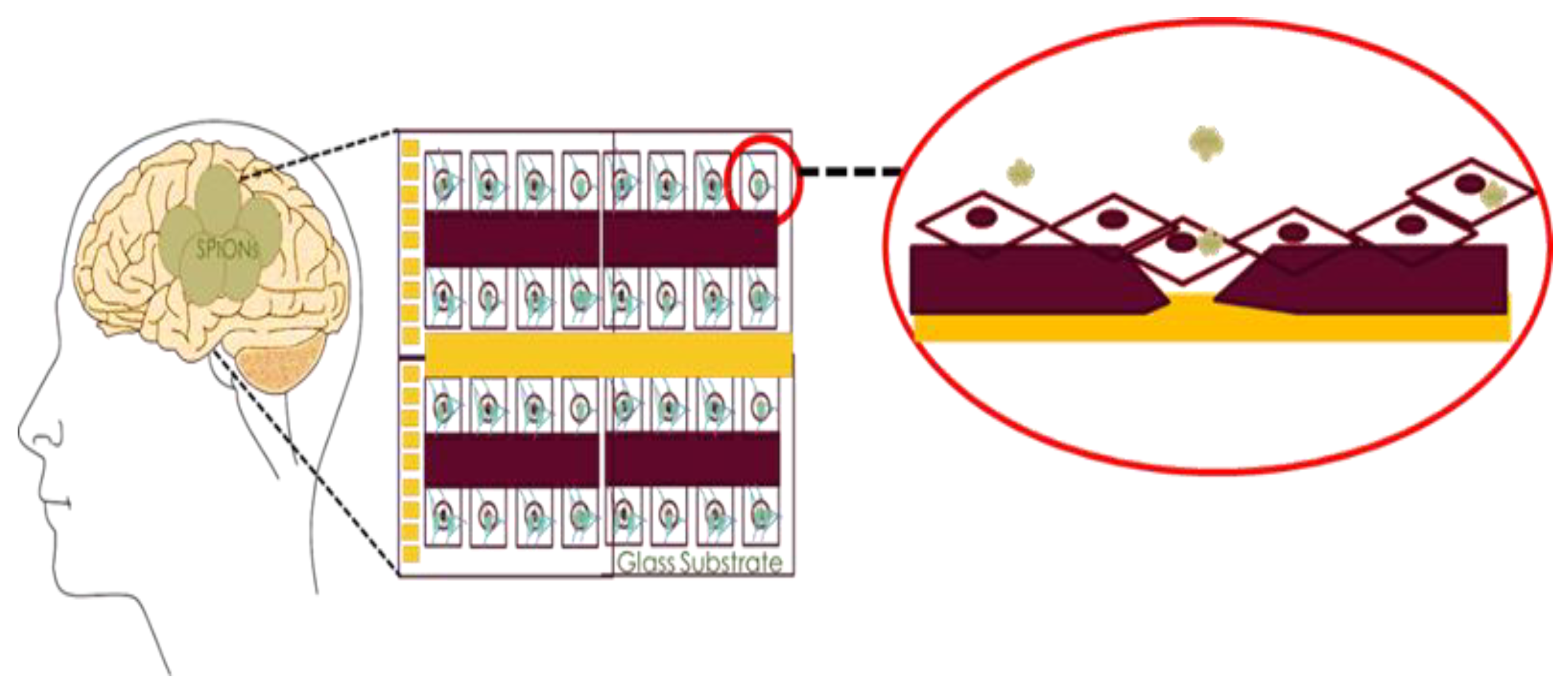 Bioengineering 06 00052 g001 Bioengineering 06 00052 g001