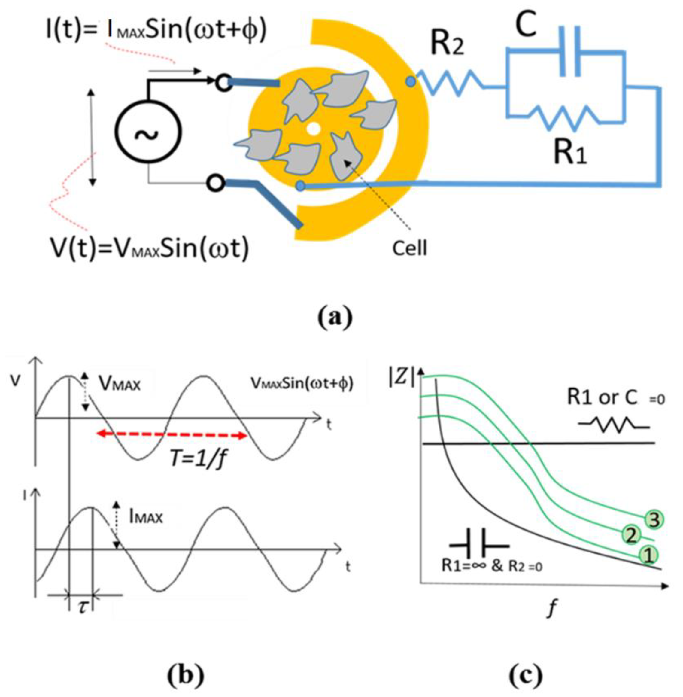 Bioengineering 06 00052 g003 Bioengineering 06 00052 g003
