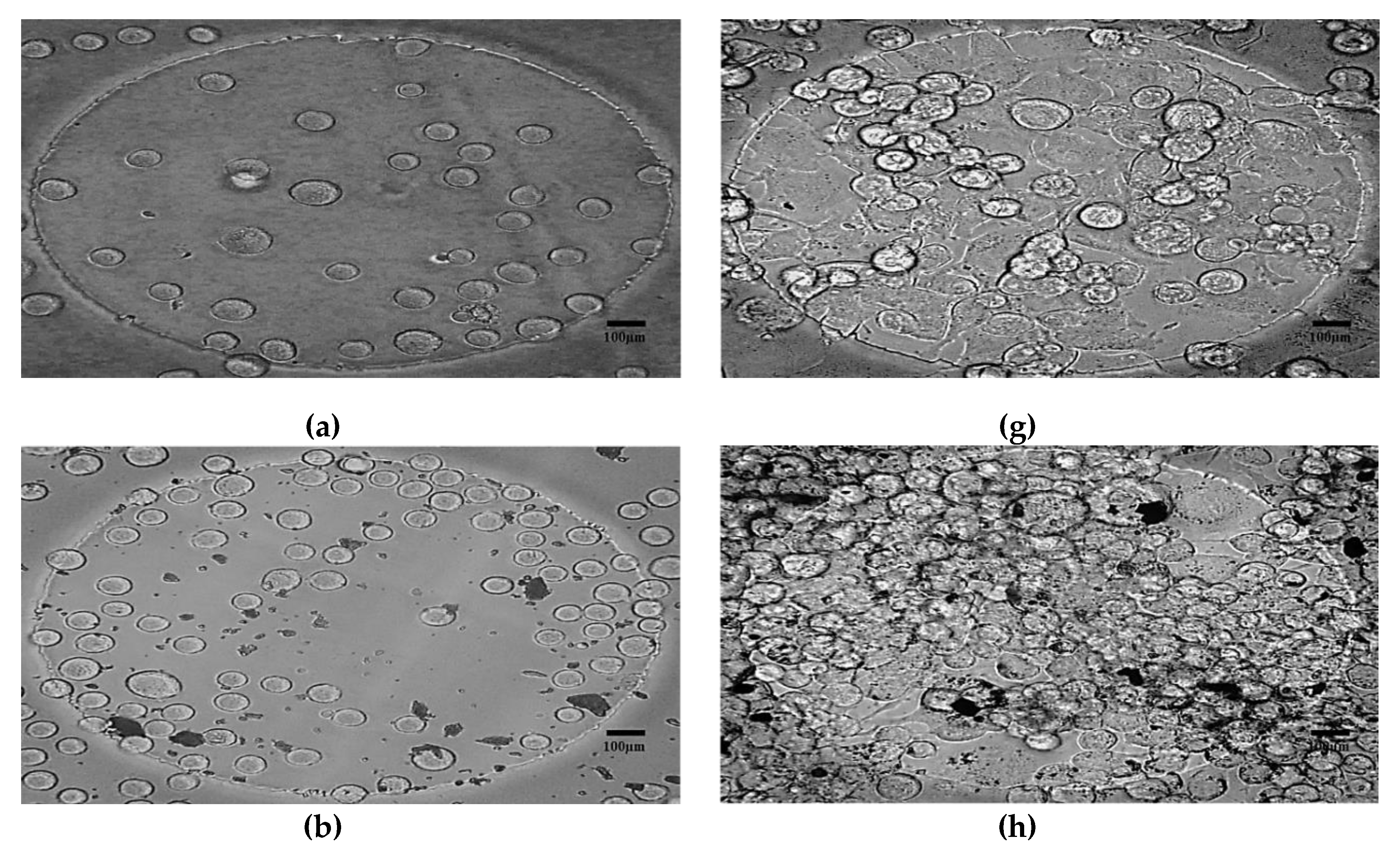 Bioengineering 06 00052 g008a Bioengineering 06 00052 g008a
