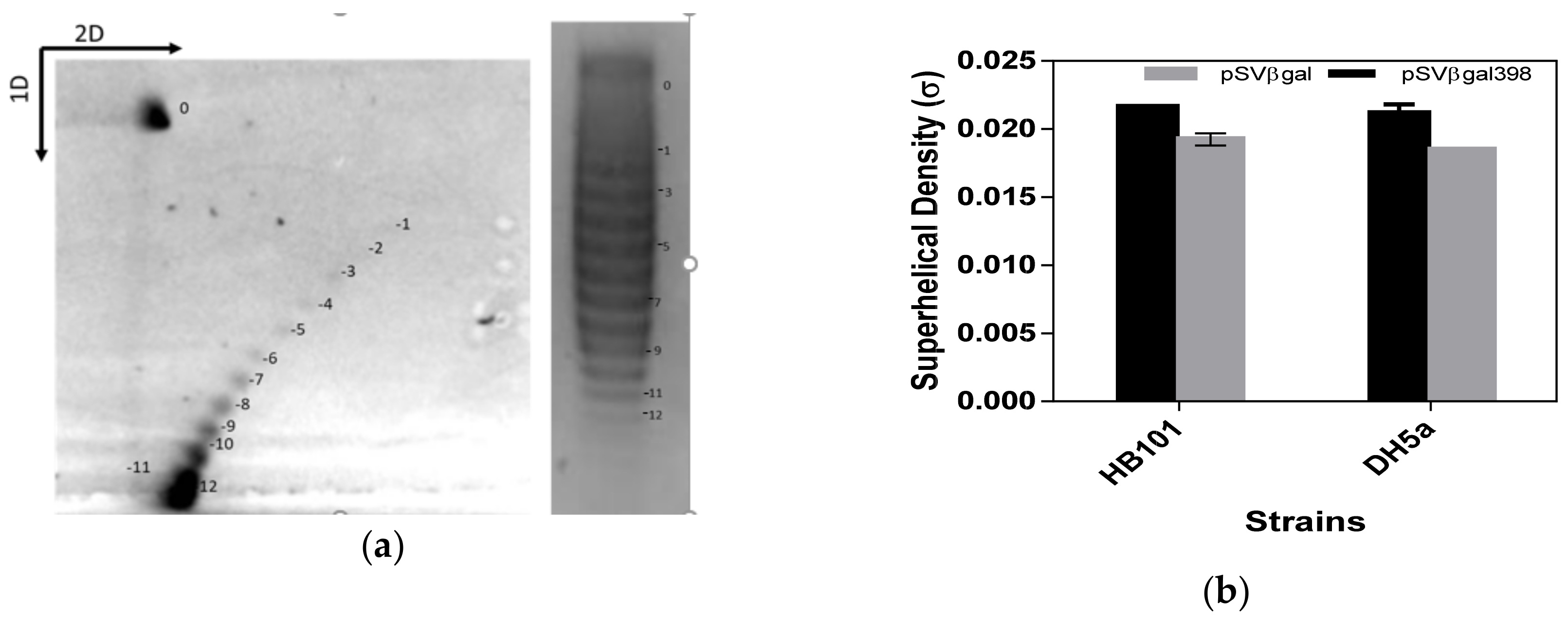 Bioengineering 06 00054 g003 Bioengineering 06 00054 g003