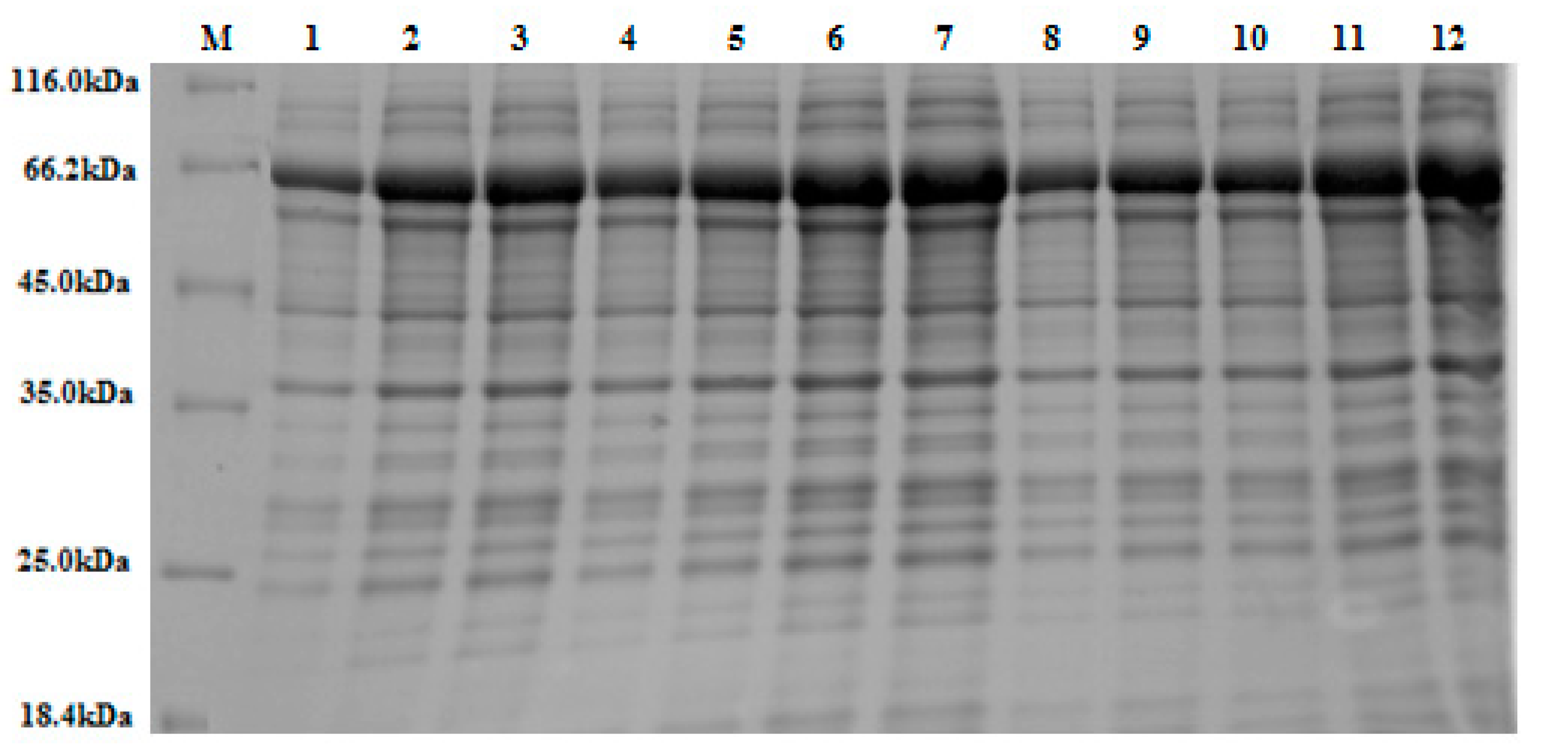Bioengineering 06 00061 g004