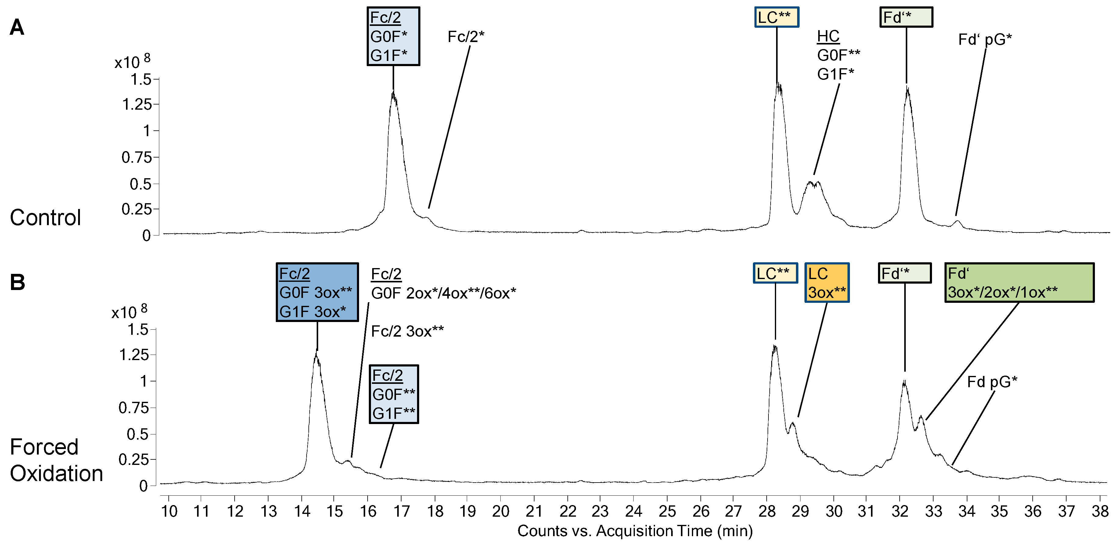 Bioengineering 06 00062 g001