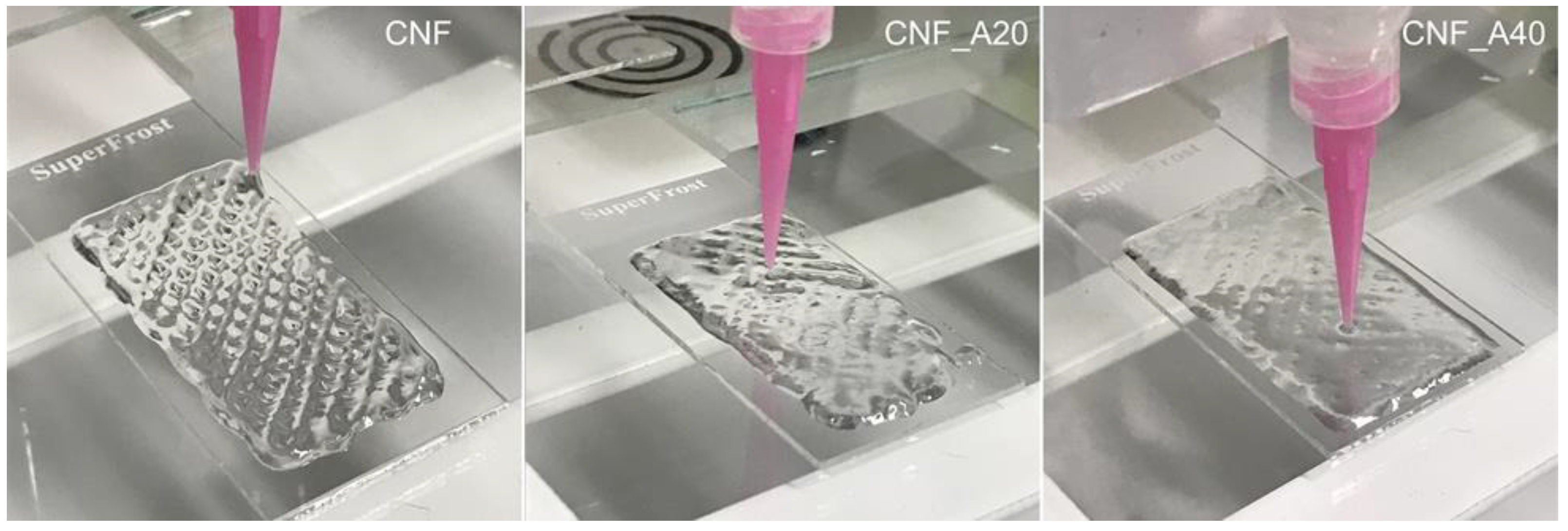 Bioengineering 06 00065 g002