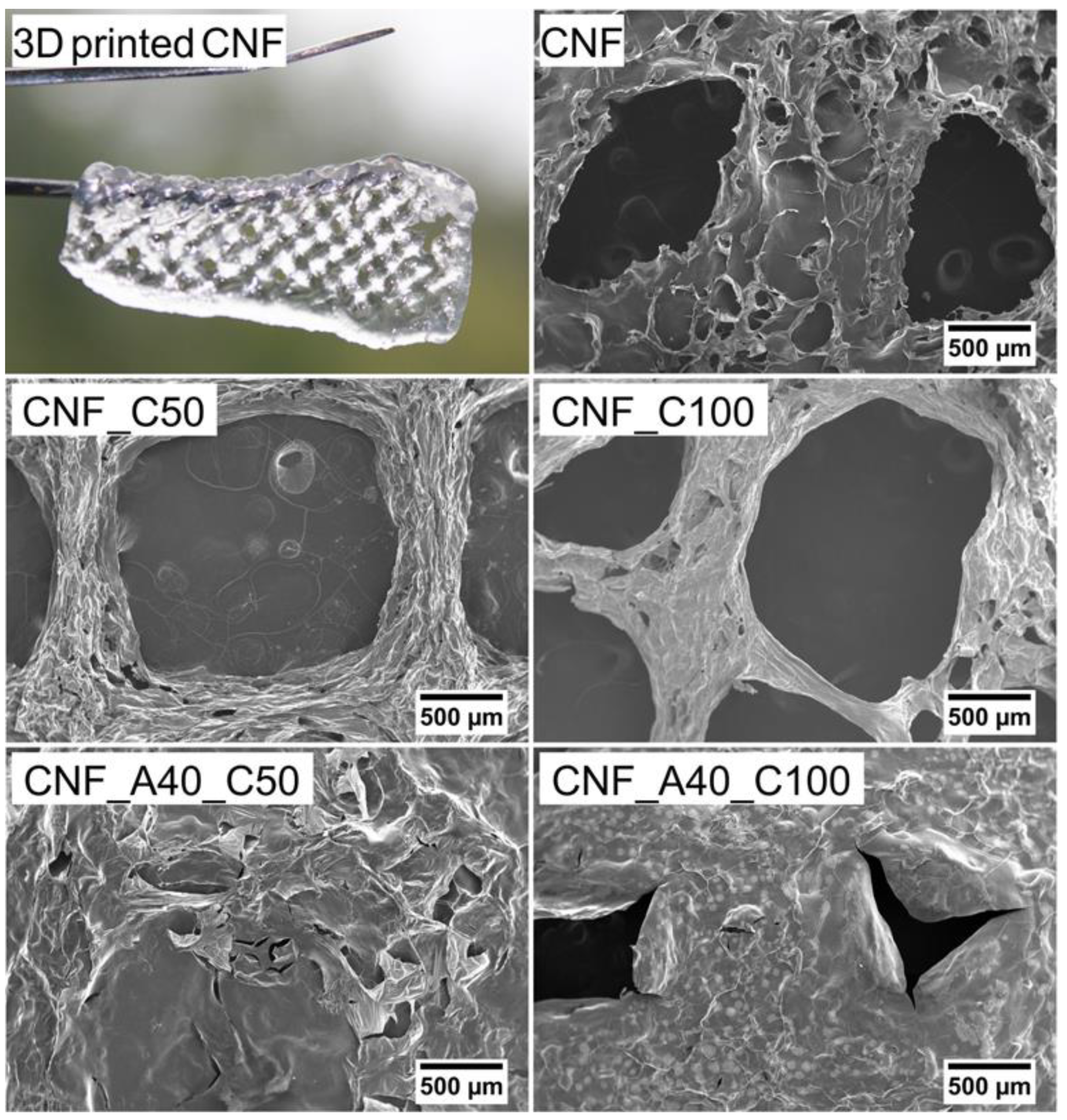 Bioengineering 06 00065 g003