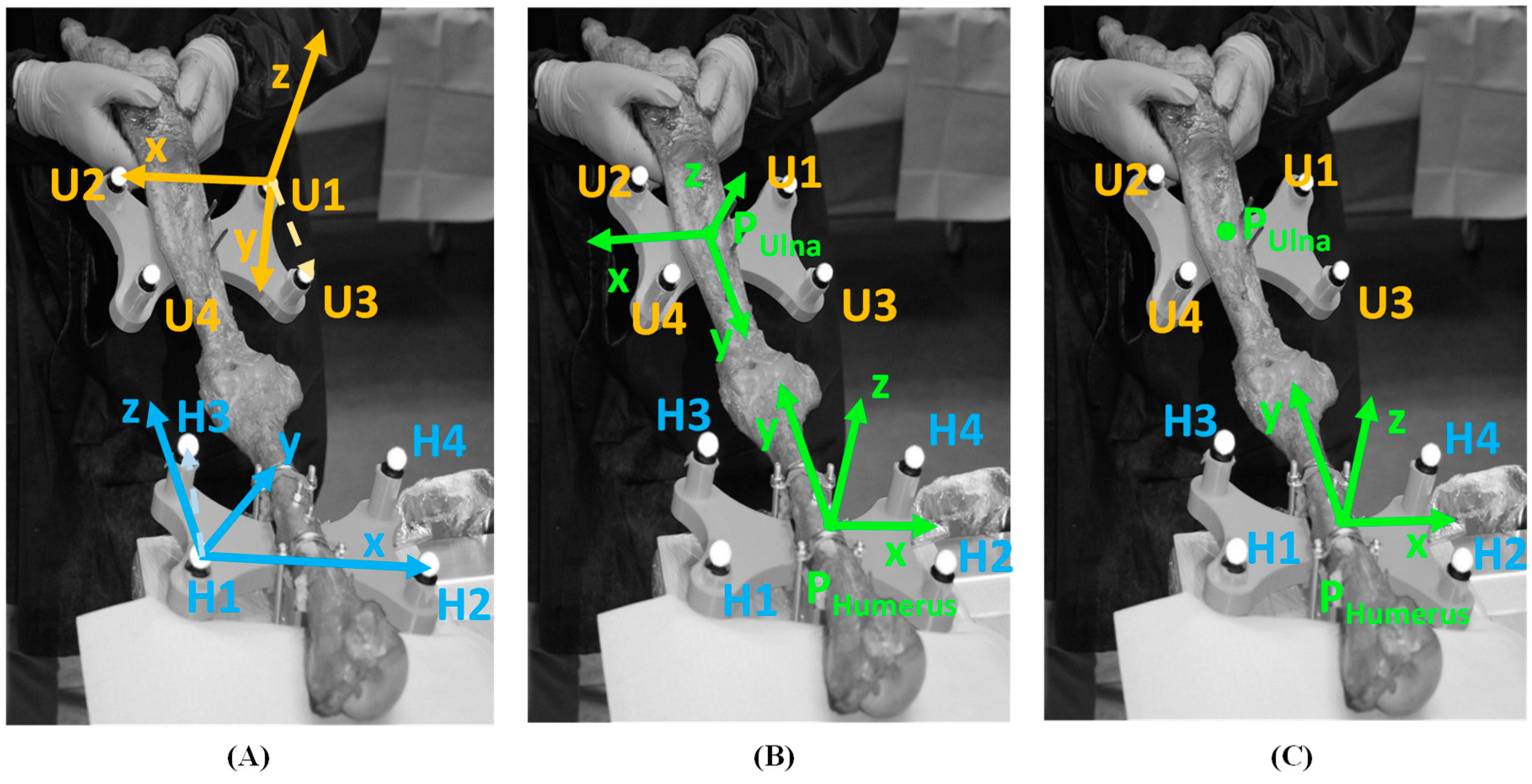 Bioengineering 06 00068 g002 Bioengineering 06 00068 g002