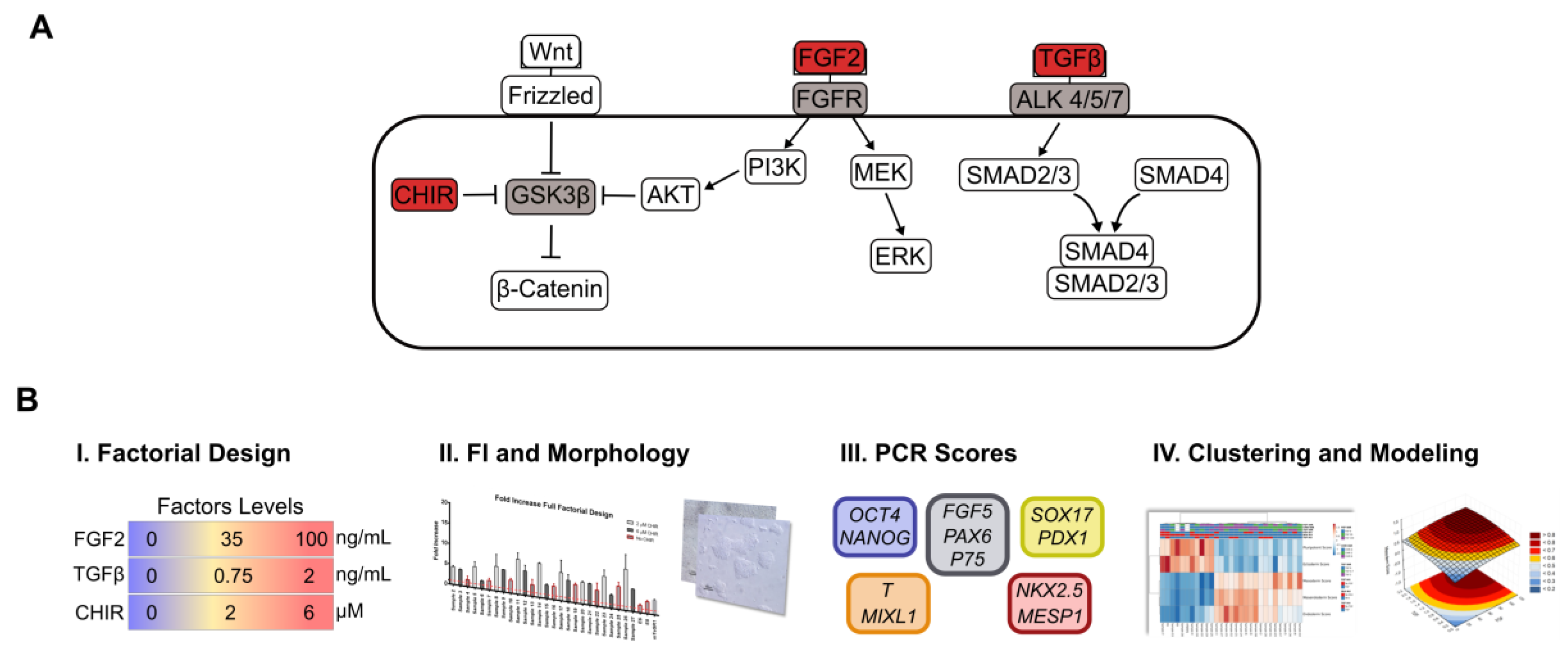 Bioengineering 06 00071 g001 Bioengineering 06 00071 g001