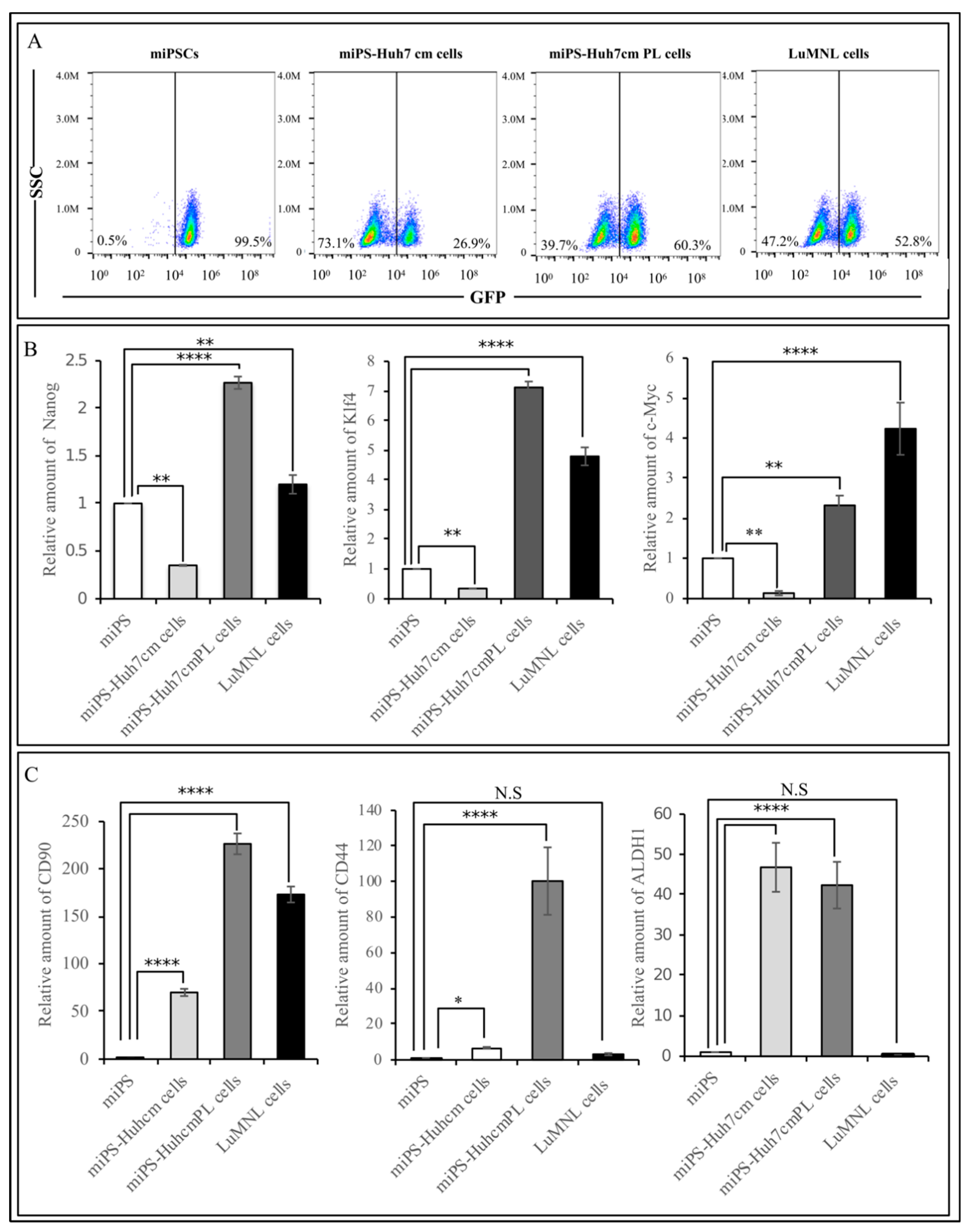 Bioengineering 06 00073 g004