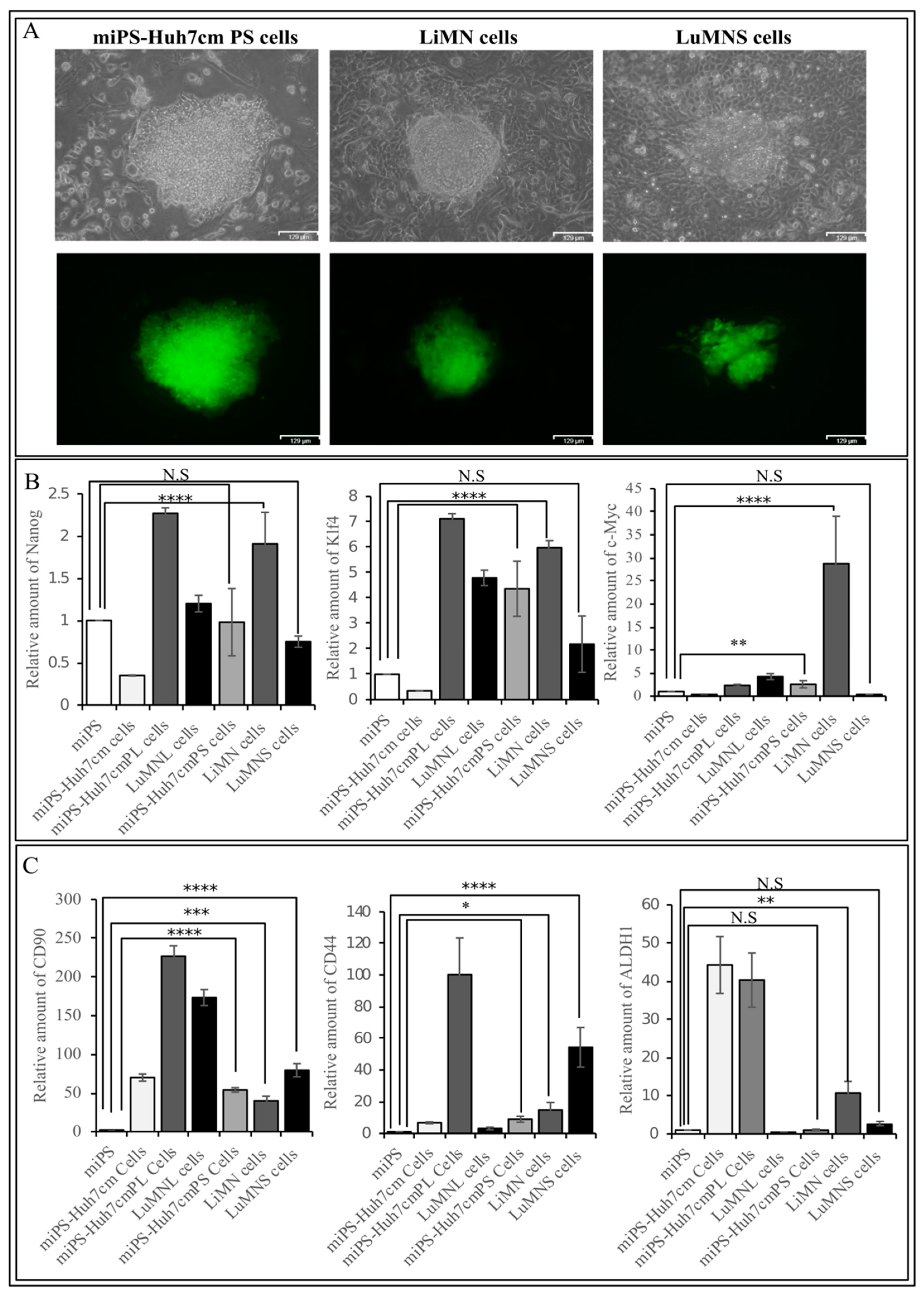 Bioengineering 06 00073 g007