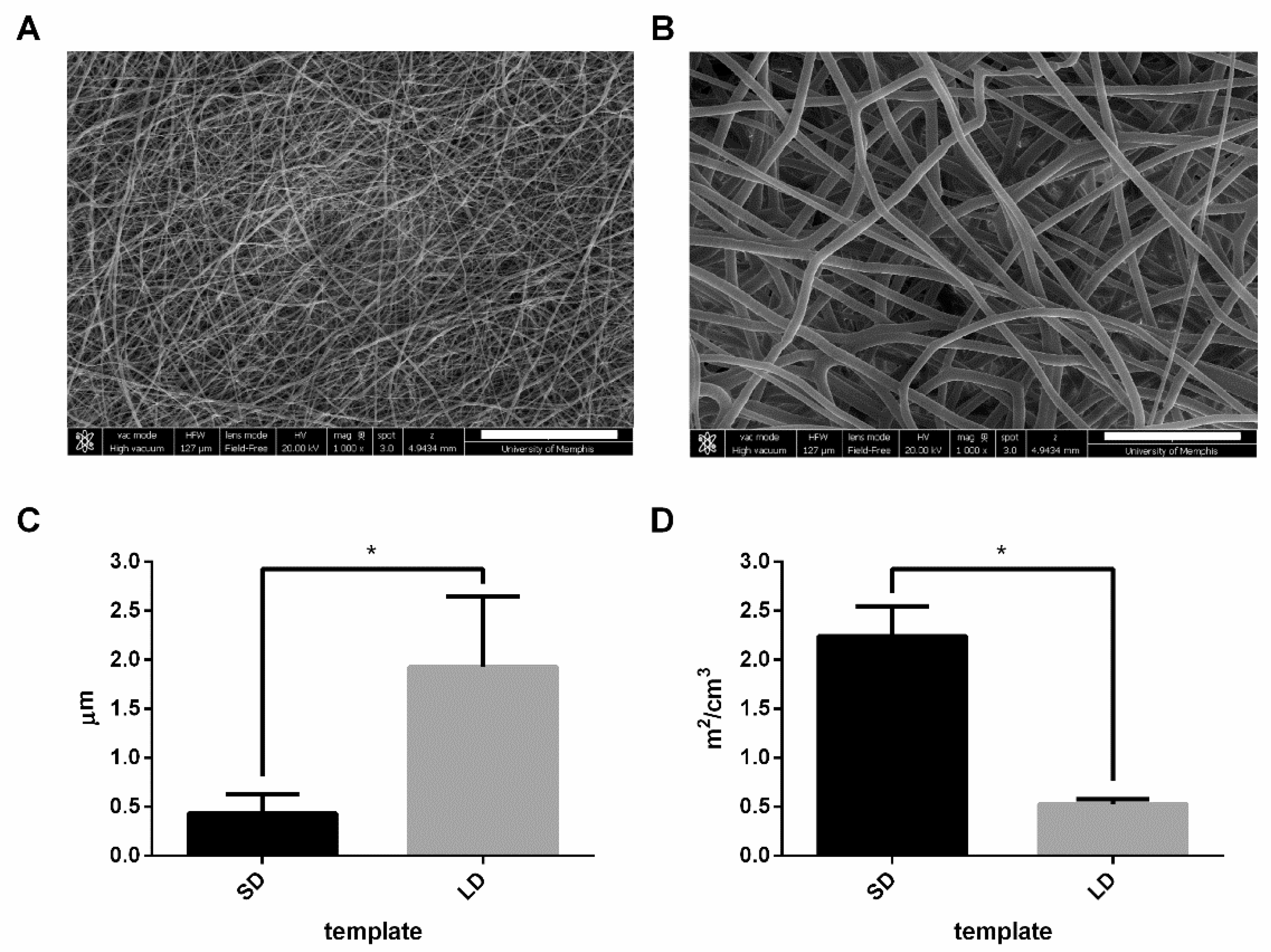 Bioengineering 06 00078 g001