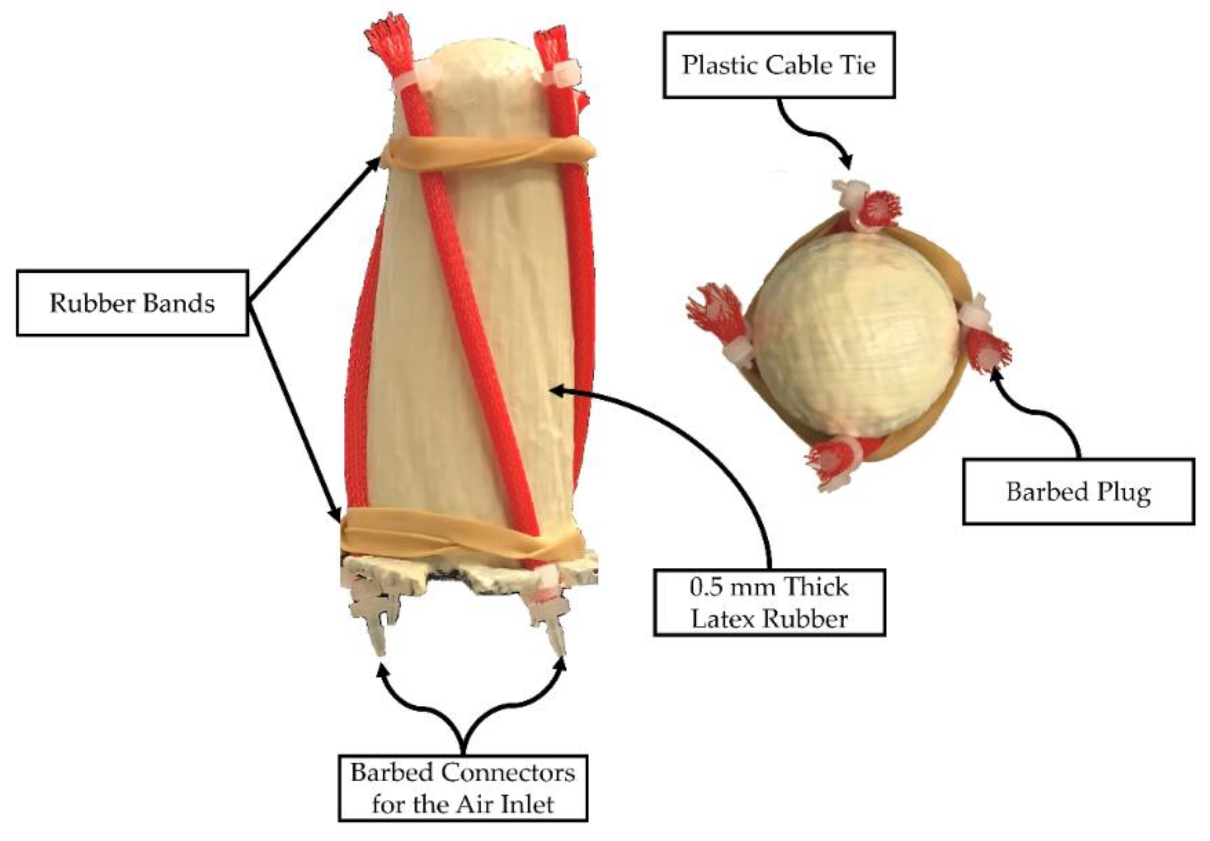 Bioengineering 06 00083 g004
