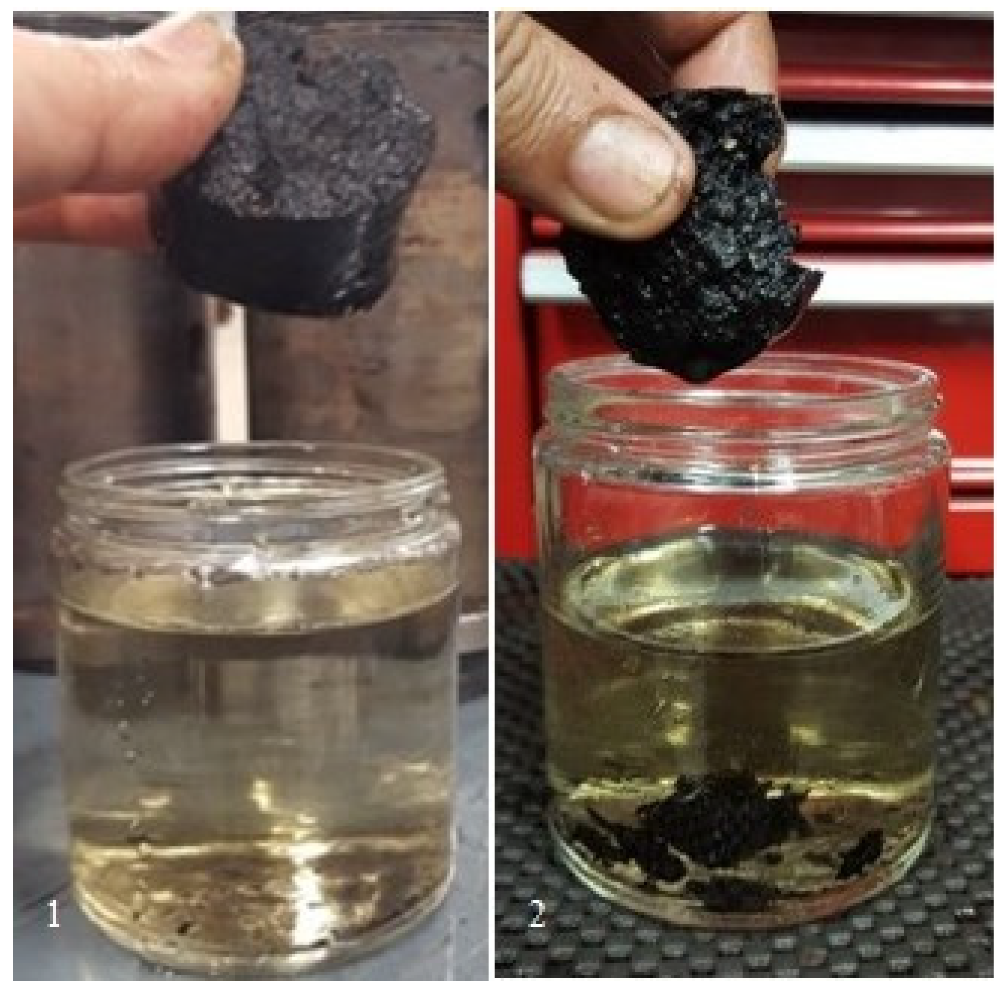 Bioengineering 06 00087 g013