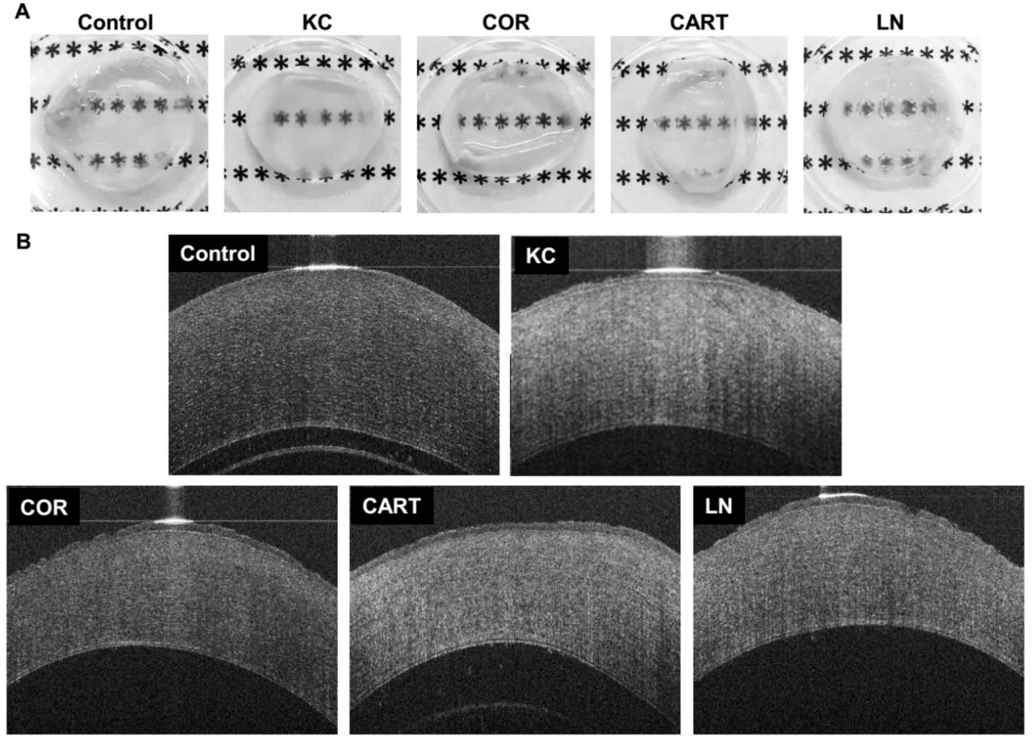 Bioengineering 06 00090 g002 Bioengineering 06 00090 g002