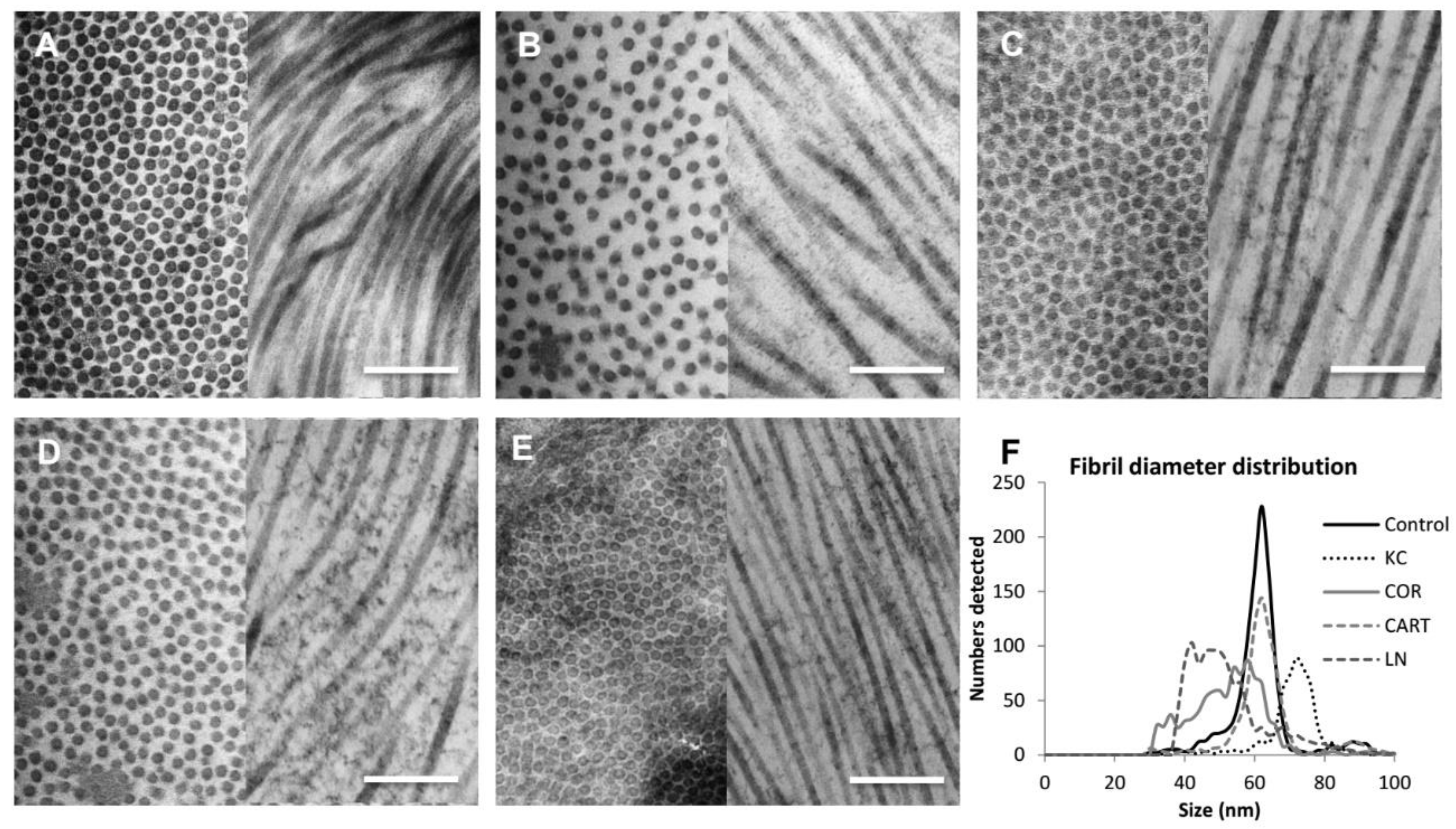 Bioengineering 06 00090 g003 Bioengineering 06 00090 g003