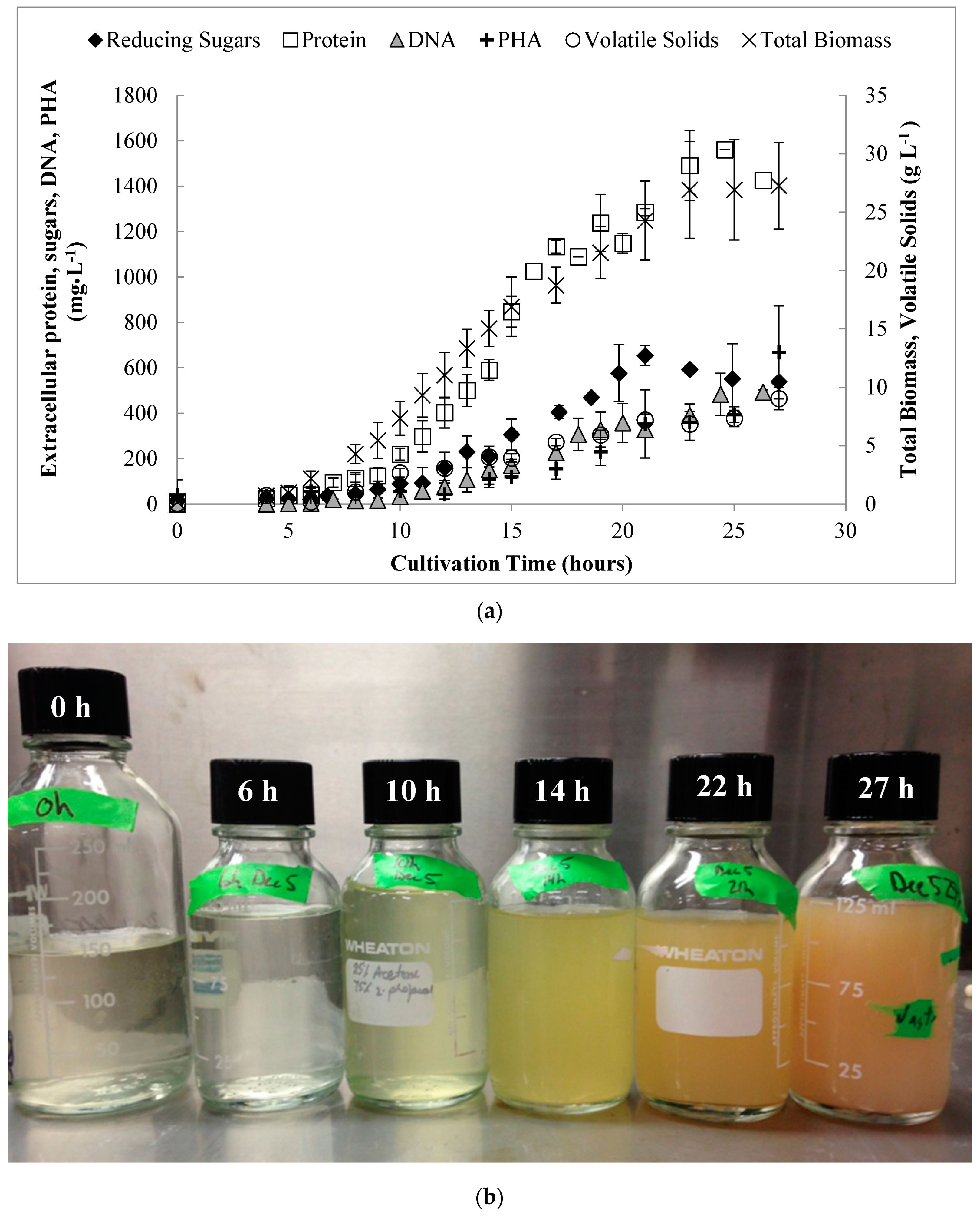 Bioengineering 06 00093 g004
