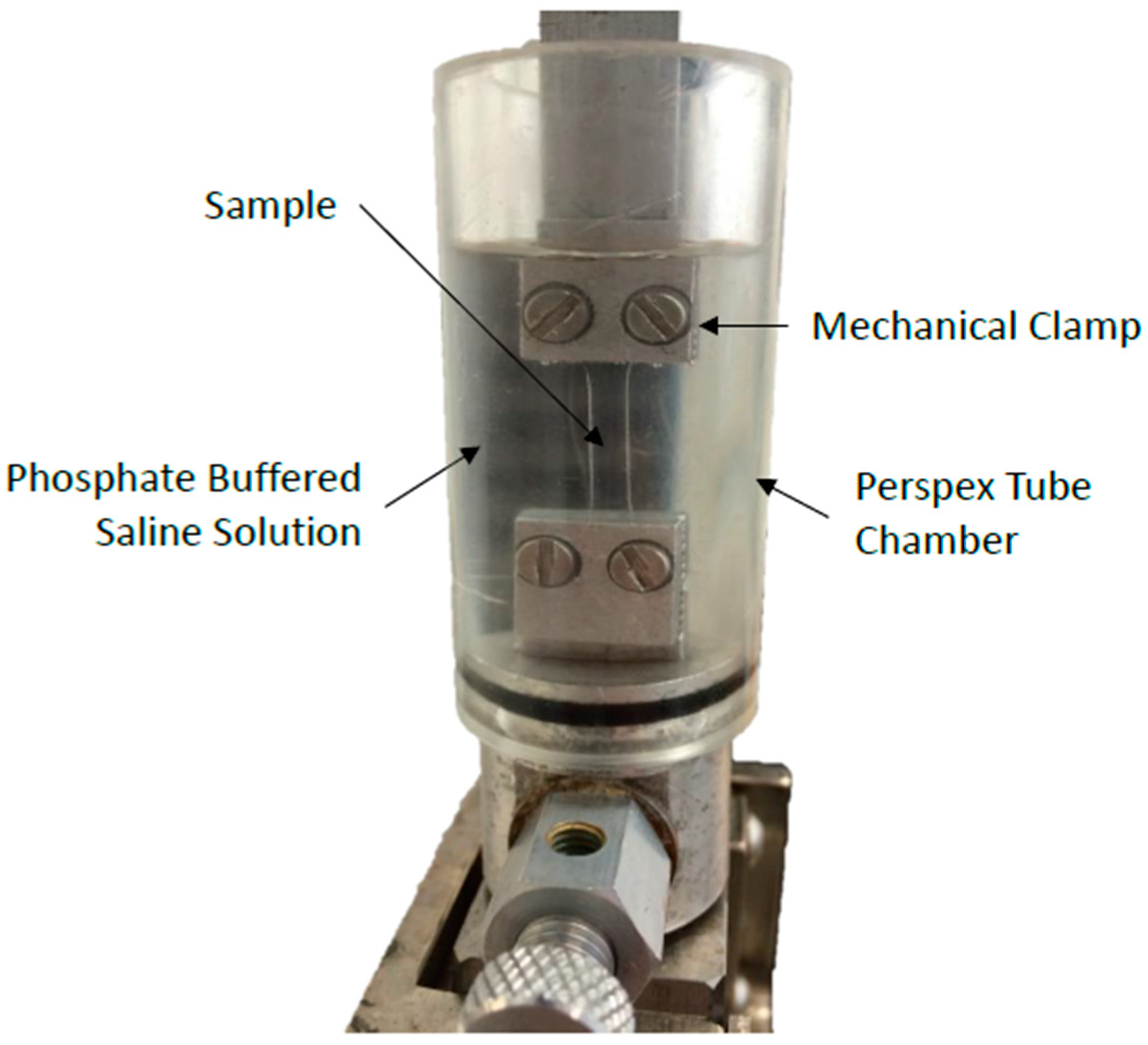 Bioengineering 06 00094 g002