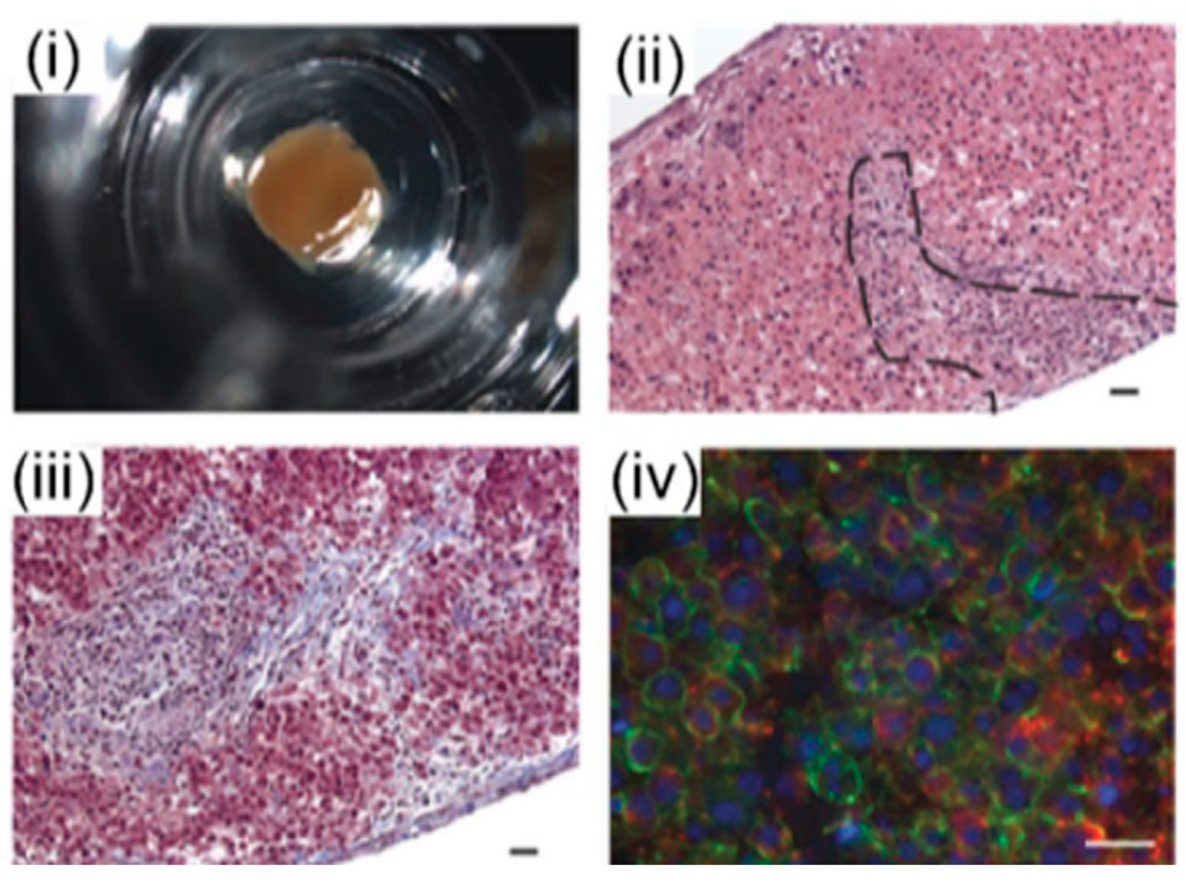 Bioengineering 06 00095 g006 Bioengineering 06 00095 g006