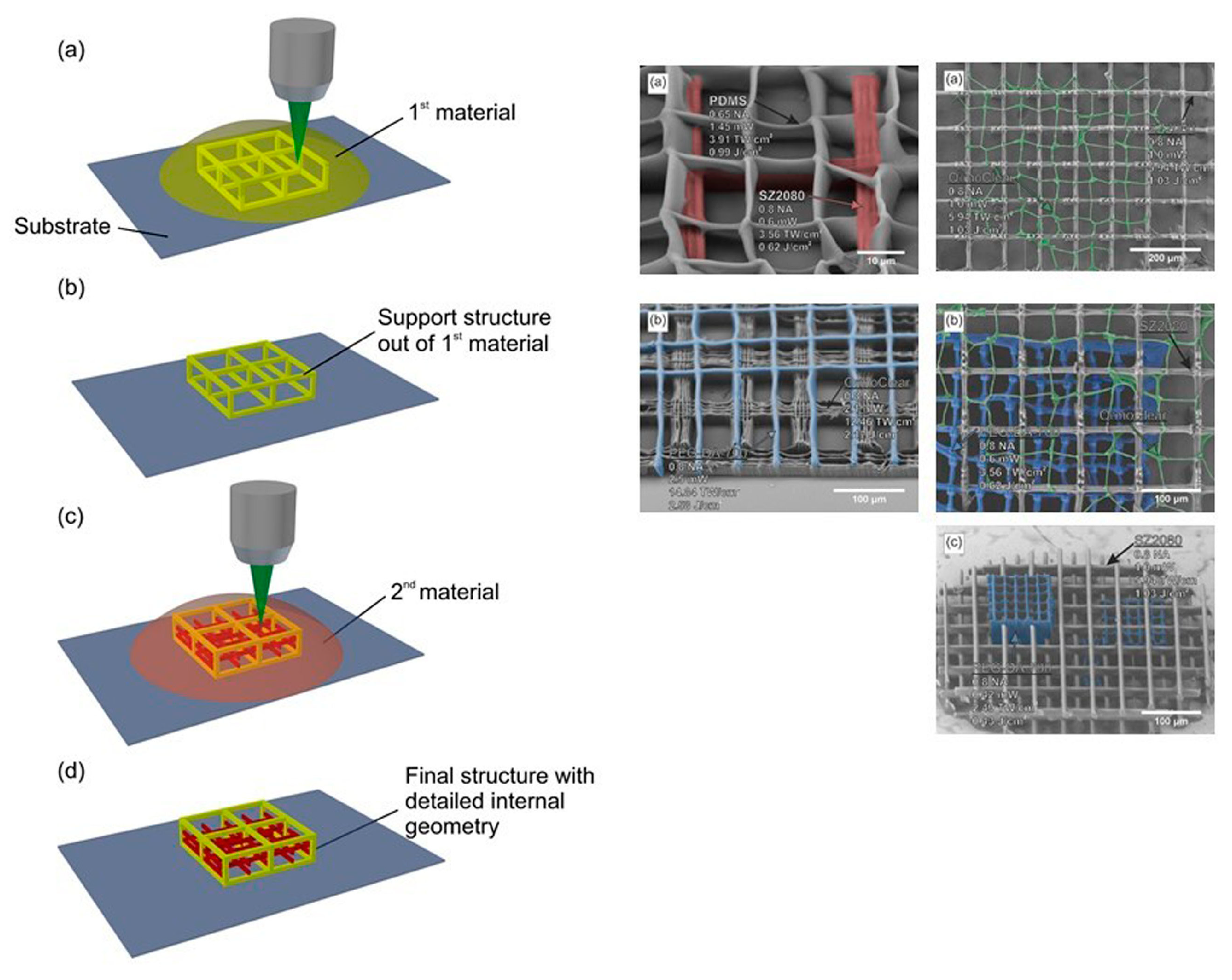 Bioengineering 06 00095 g011 Bioengineering 06 00095 g011