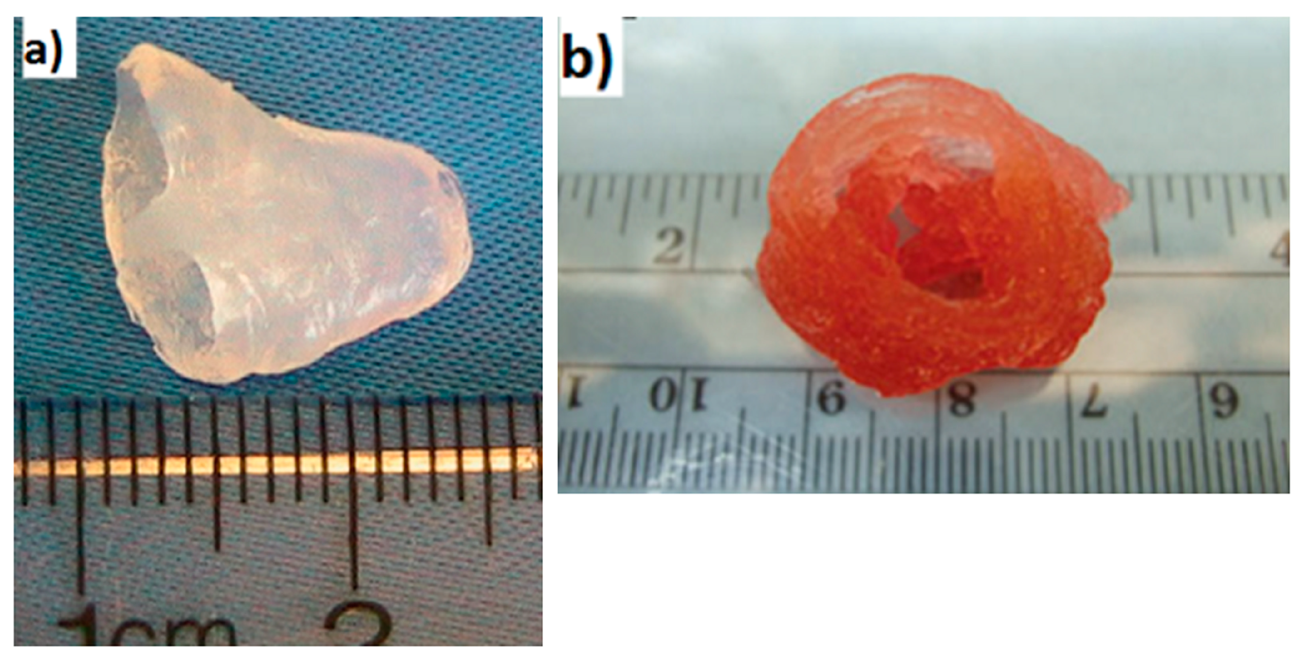 Bioengineering 06 00095 g016