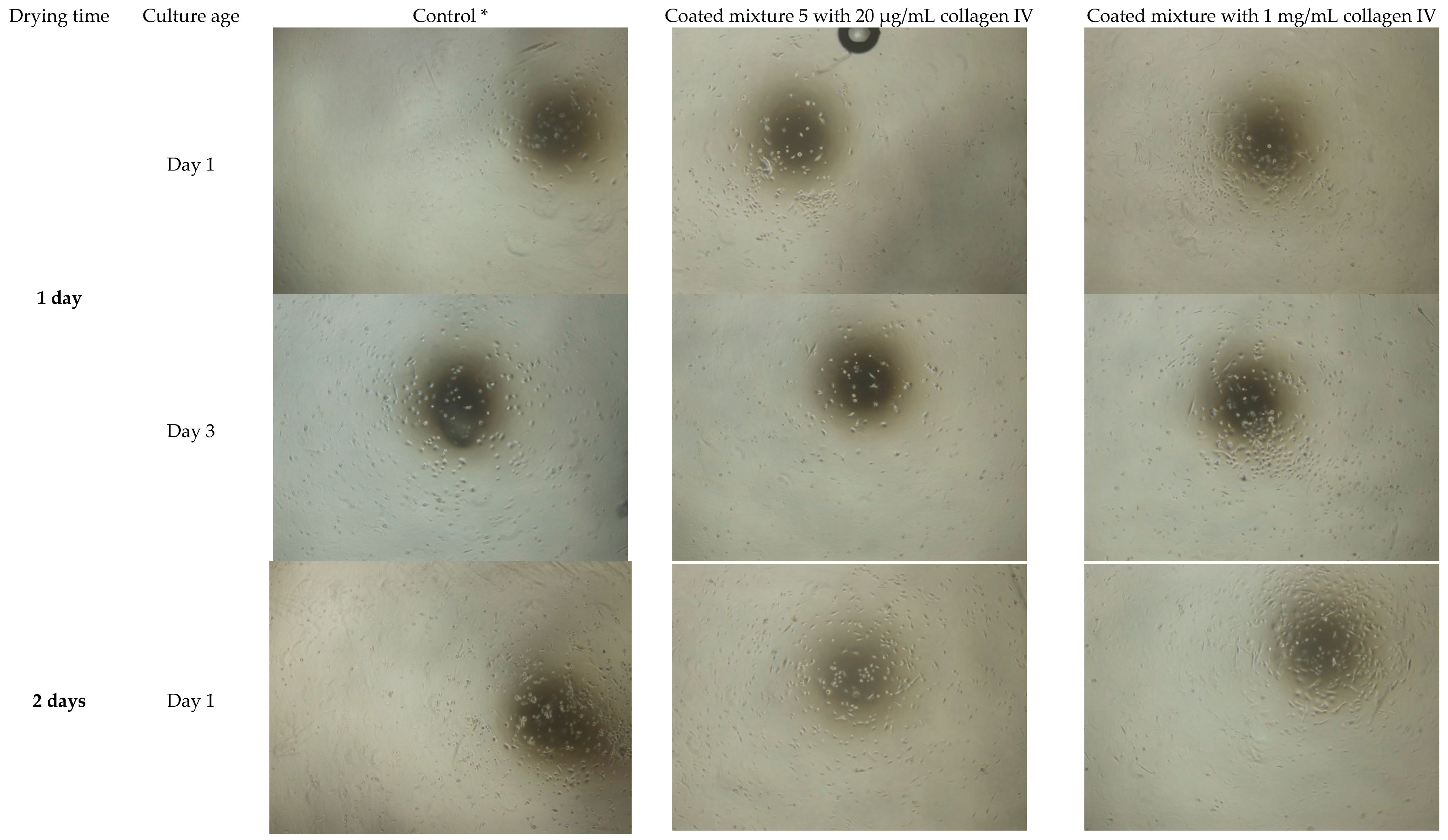 Bioengineering 06 00097 g002a