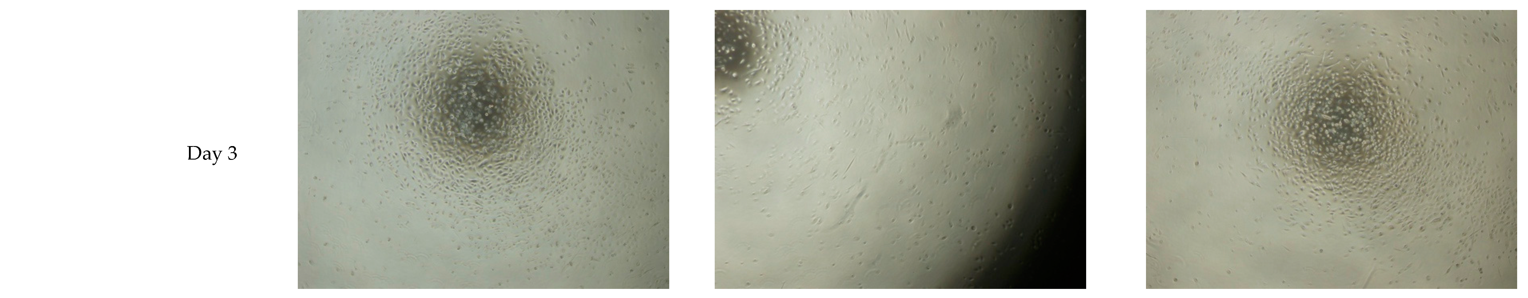 Bioengineering 06 00097 g002b