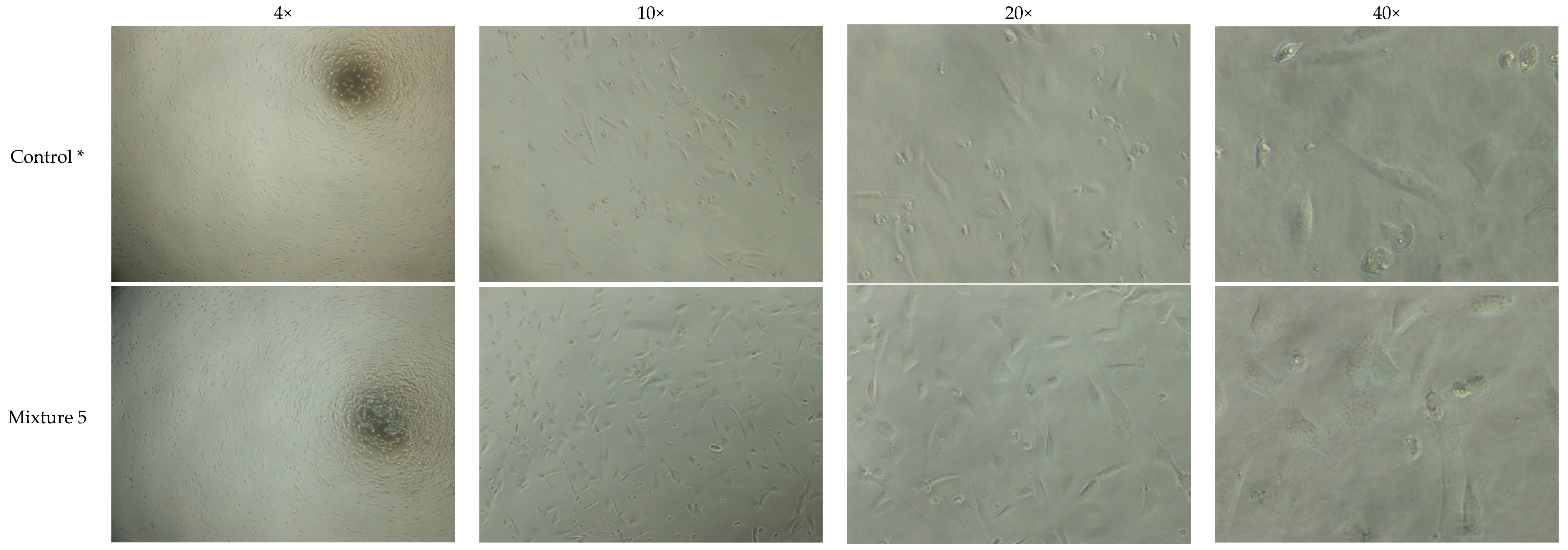 Bioengineering 06 00097 g003
