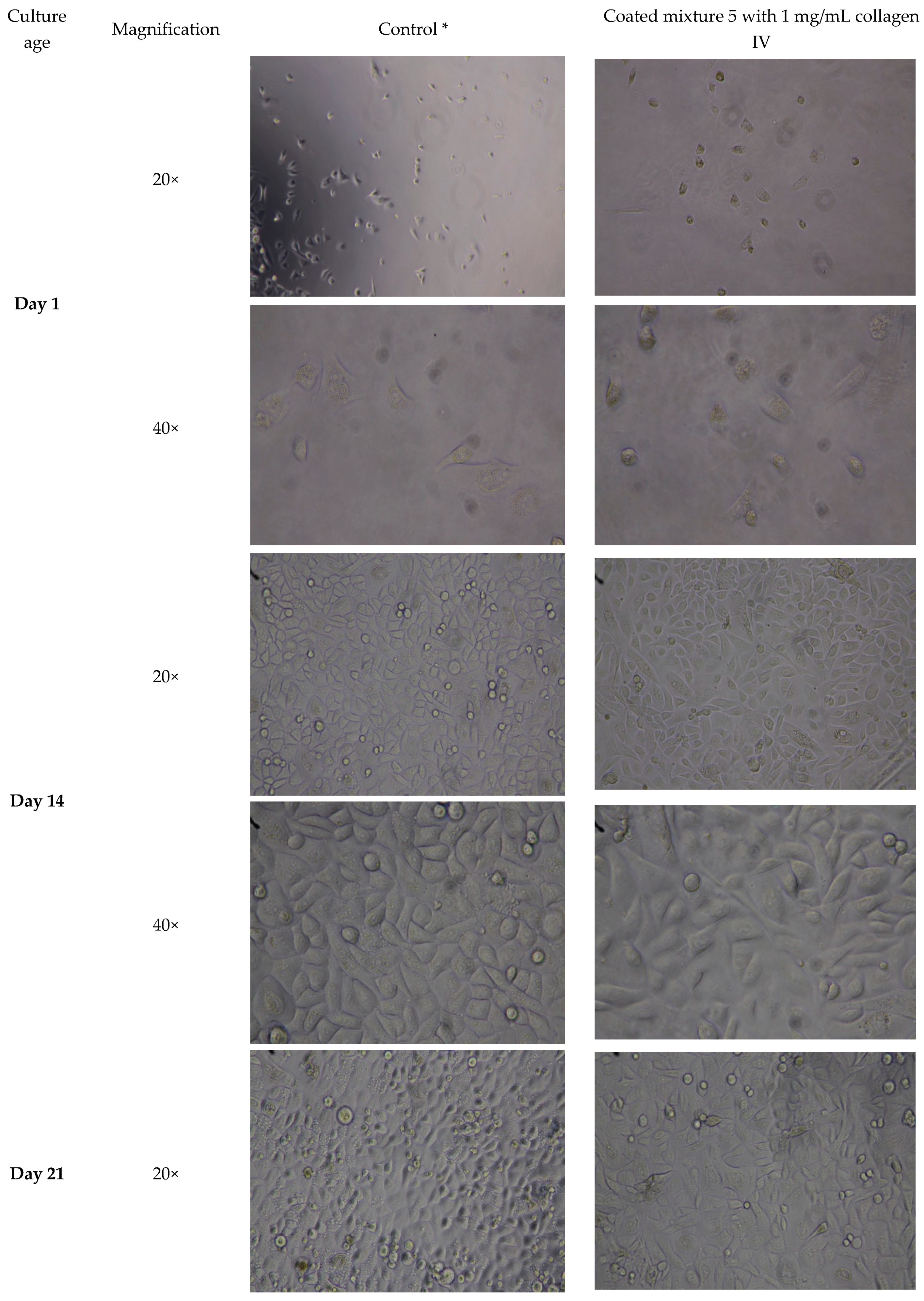 Bioengineering 06 00097 g004a