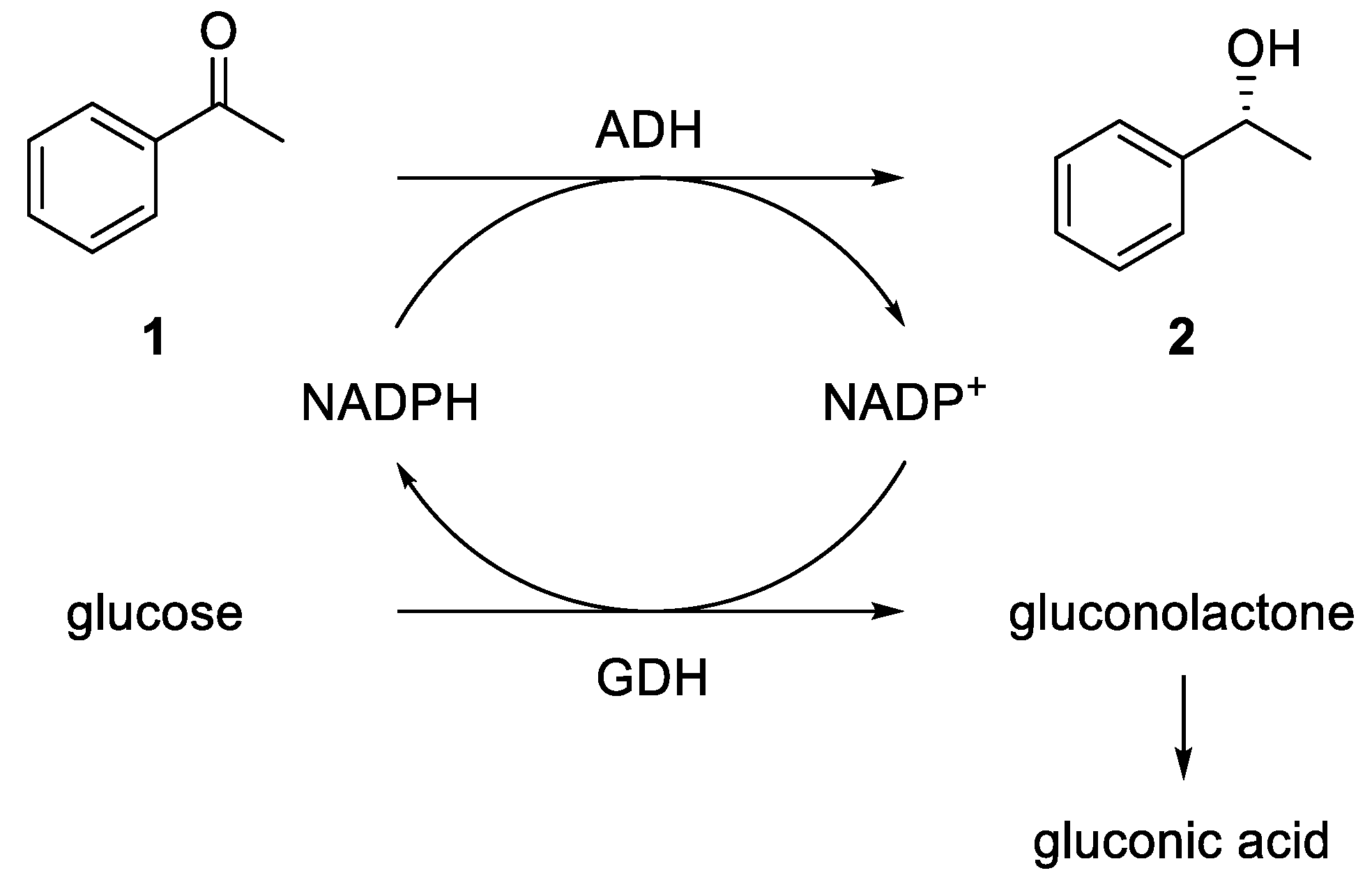 Bioengineering 06 00099 g002