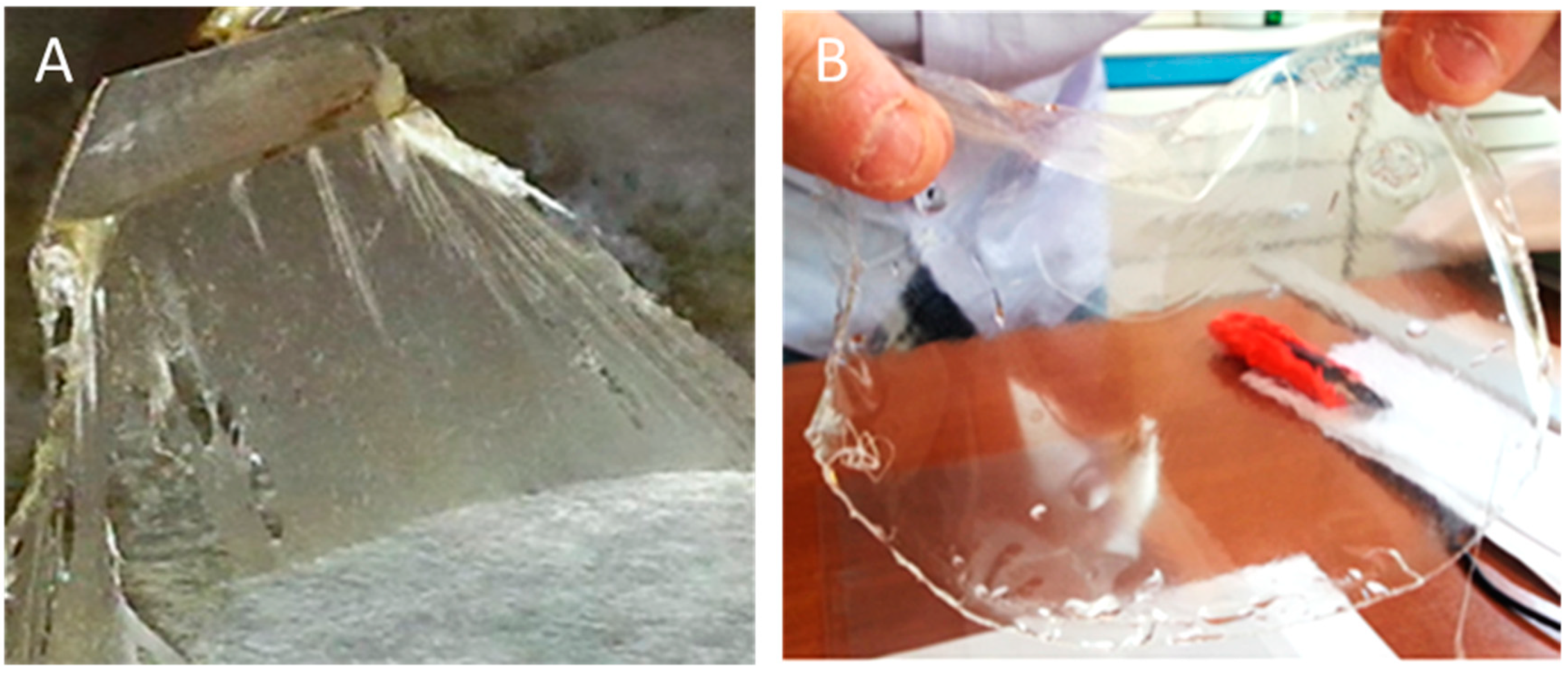 Bioengineering 06 00105 g001