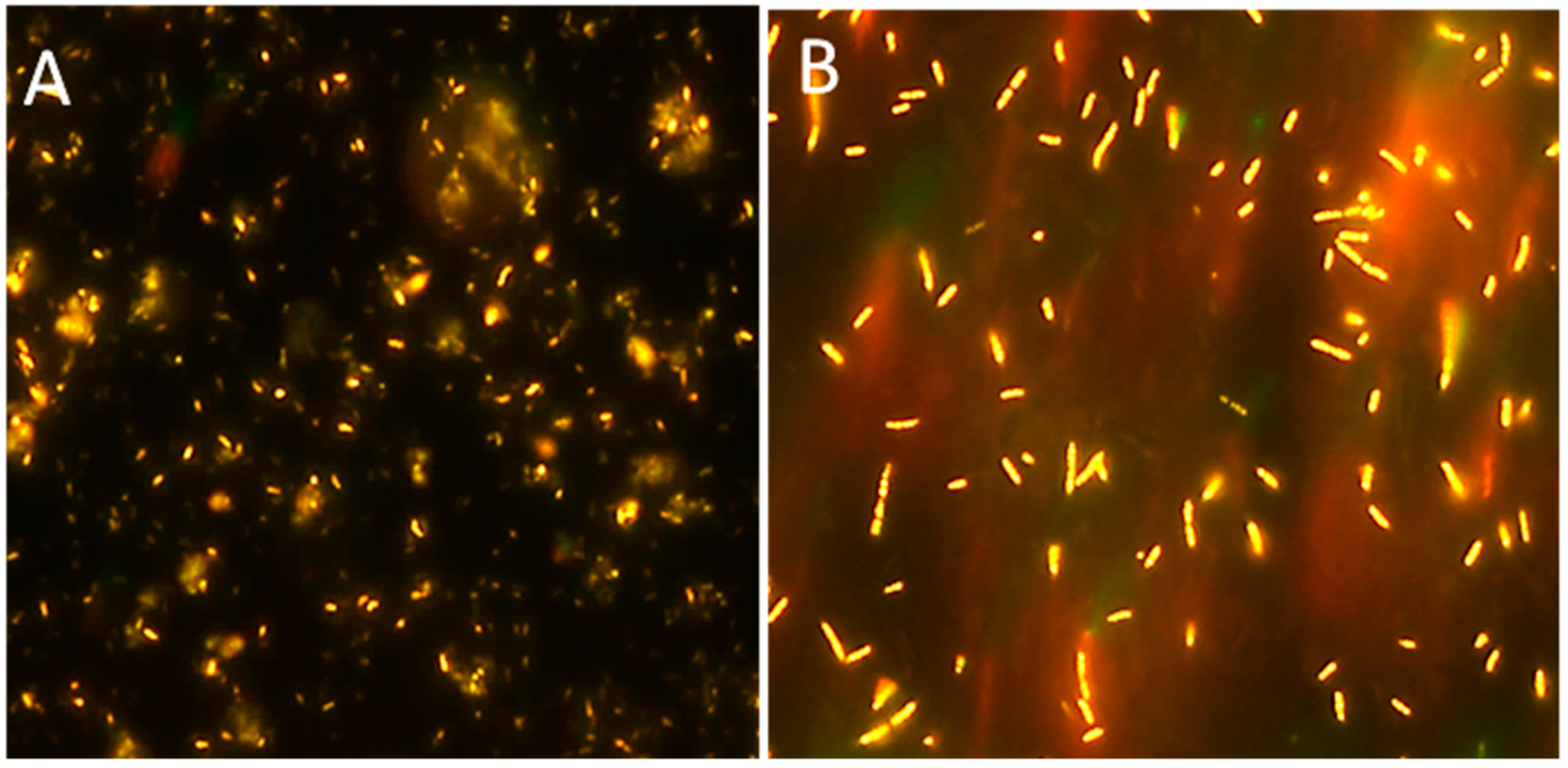 Bioengineering 06 00105 g002