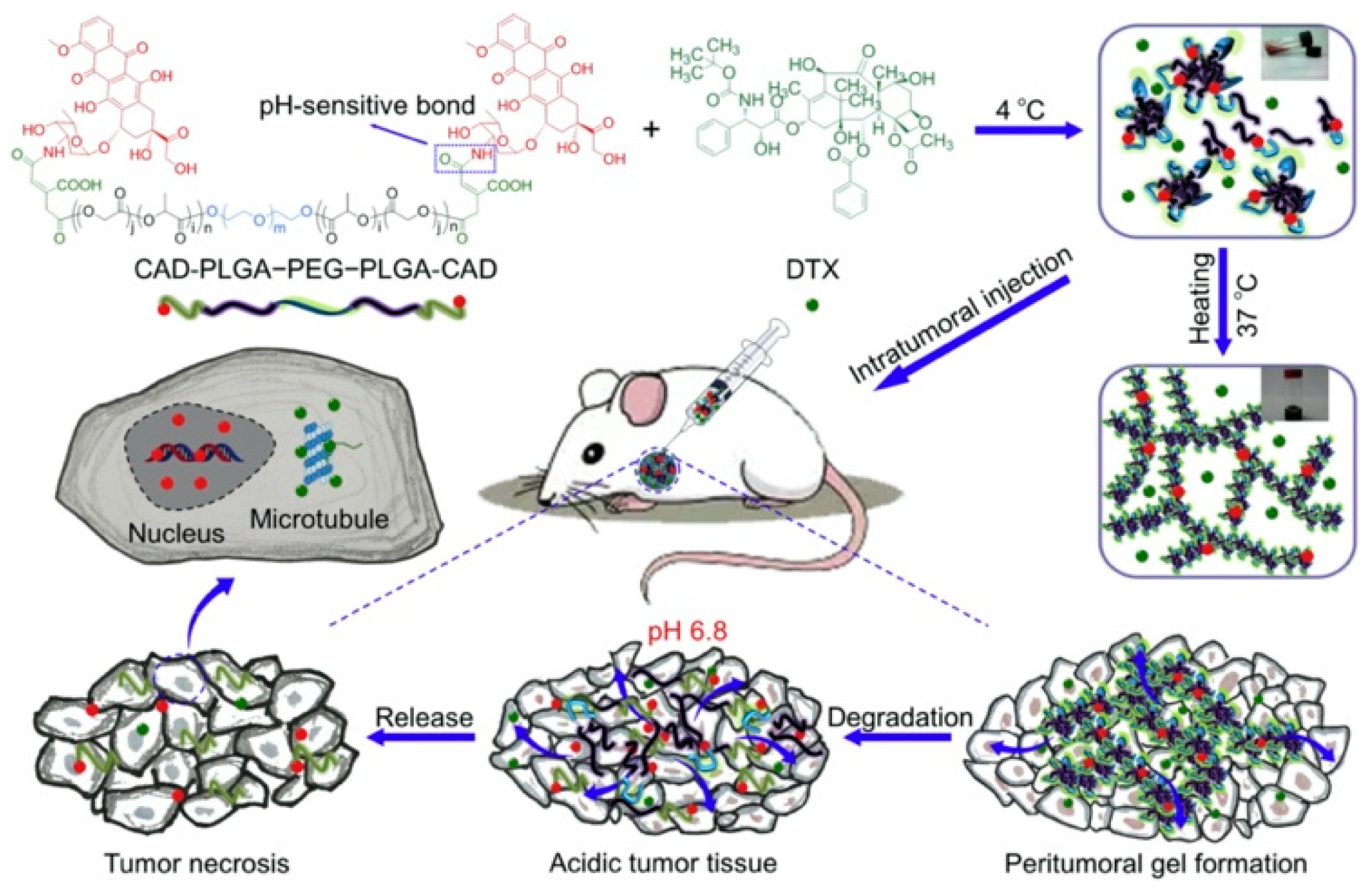 Bioengineering 06 00107 g004 Bioengineering 06 00107 g004